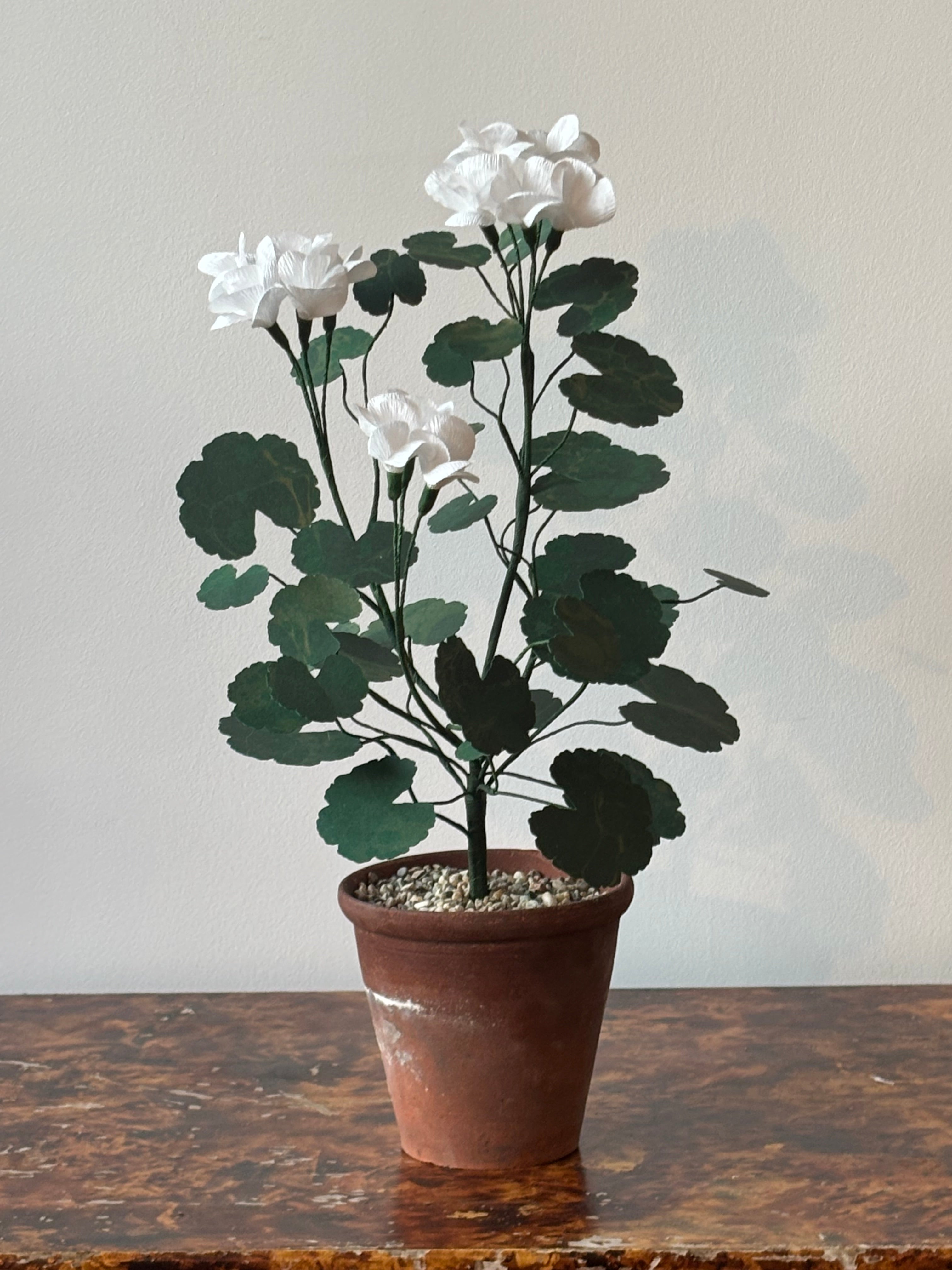 Paper Geranium