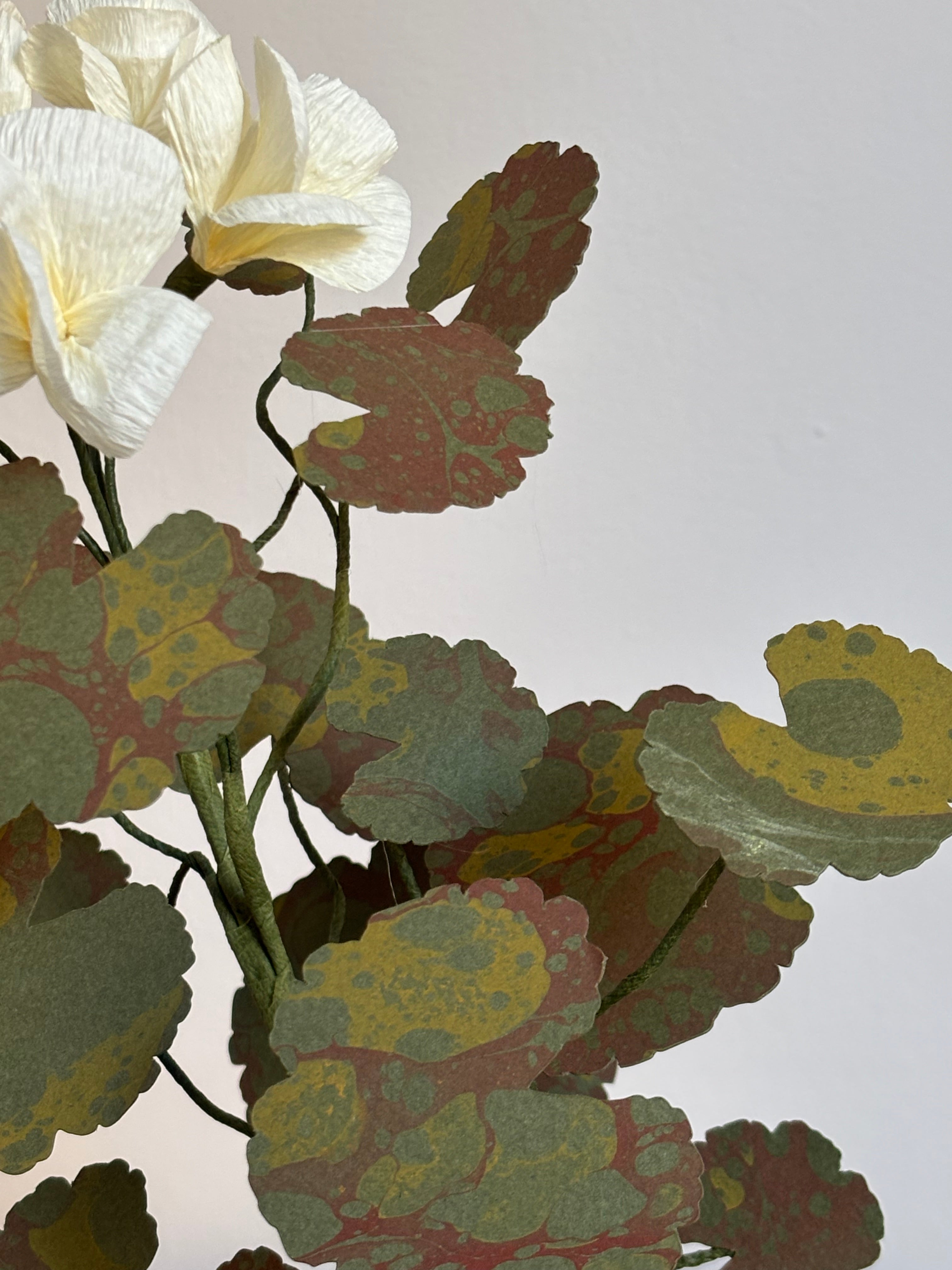Paper Geranium