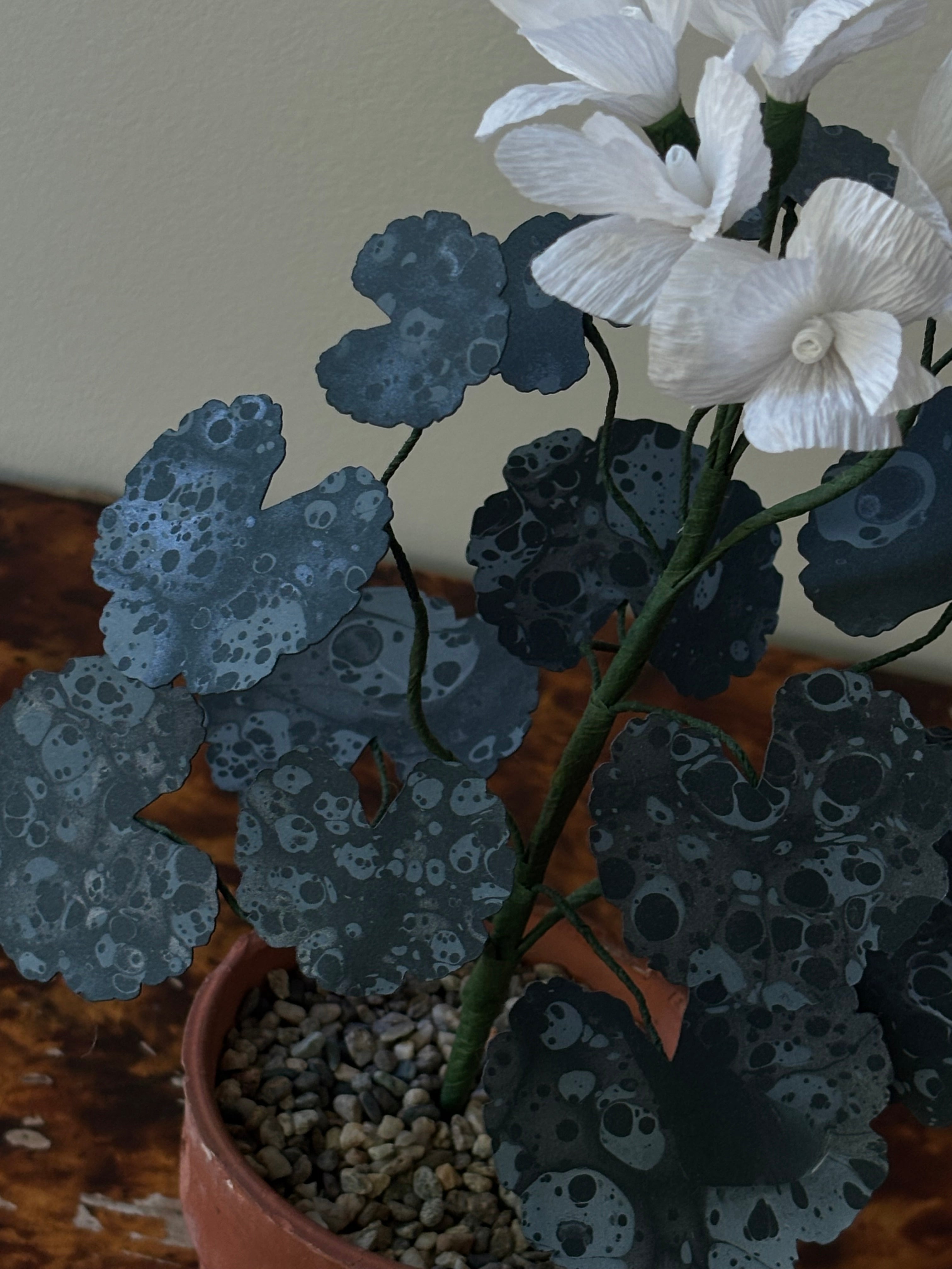 Paper Geranium