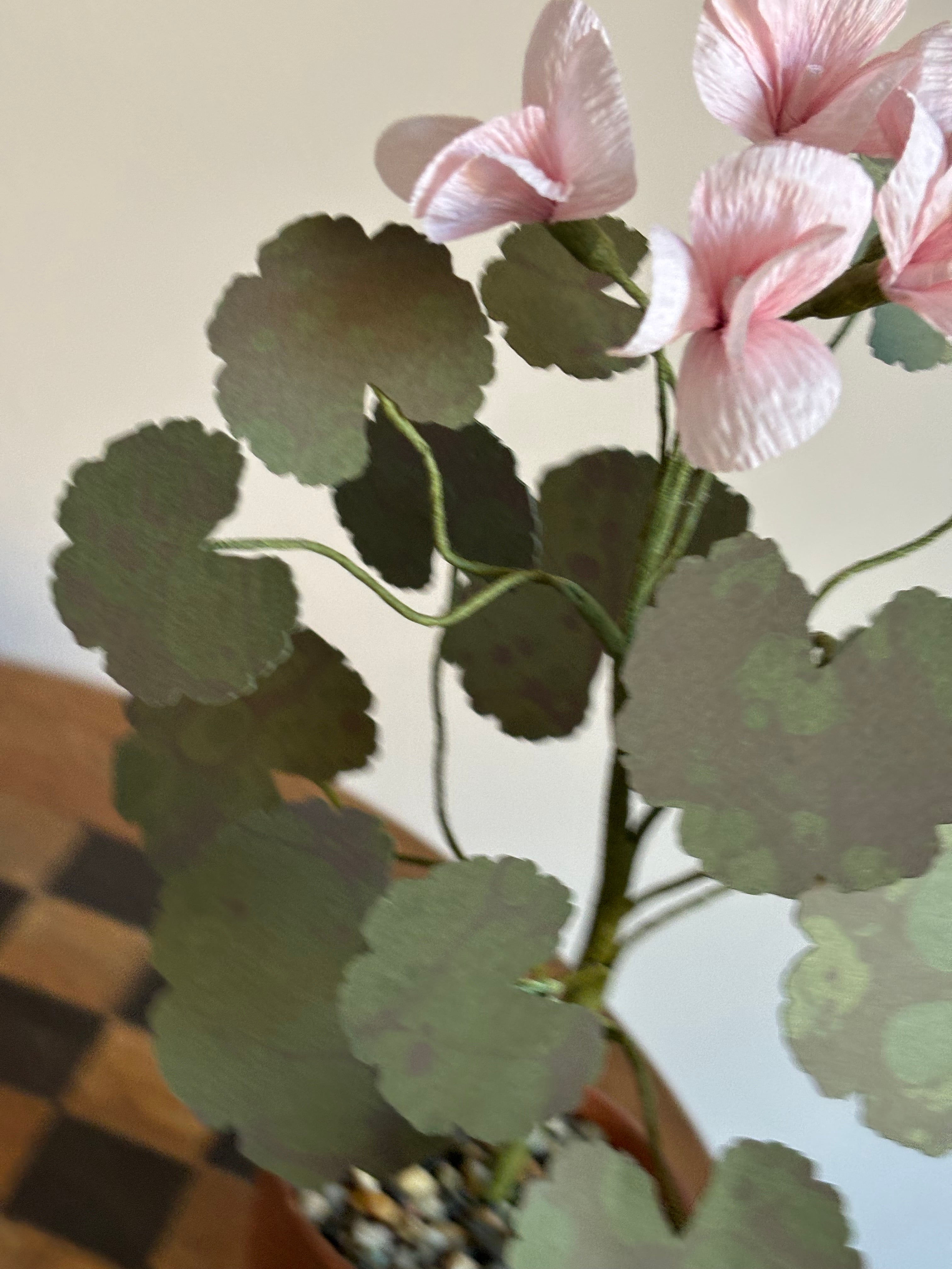 Paper Geranium