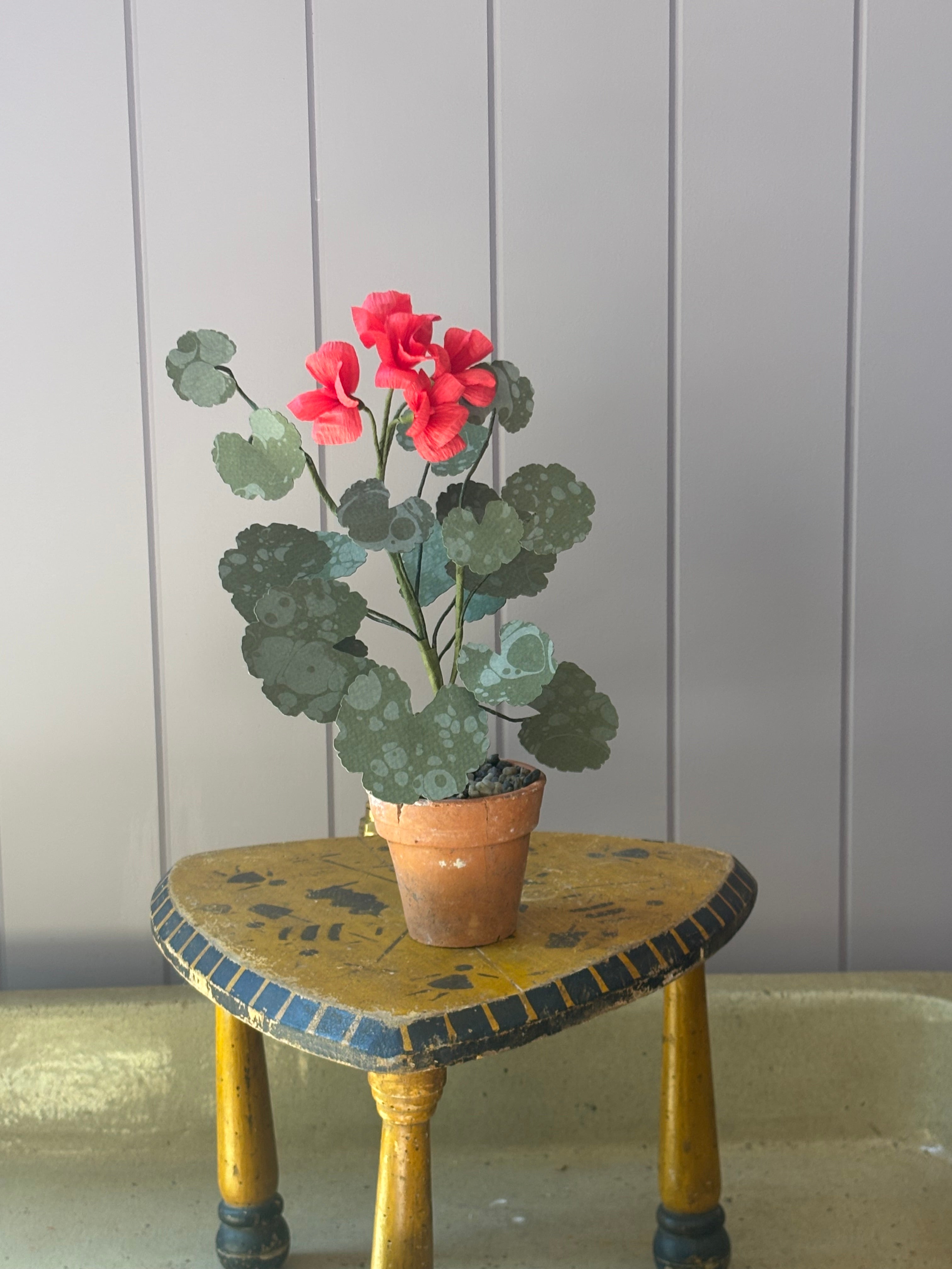 Paper geranium