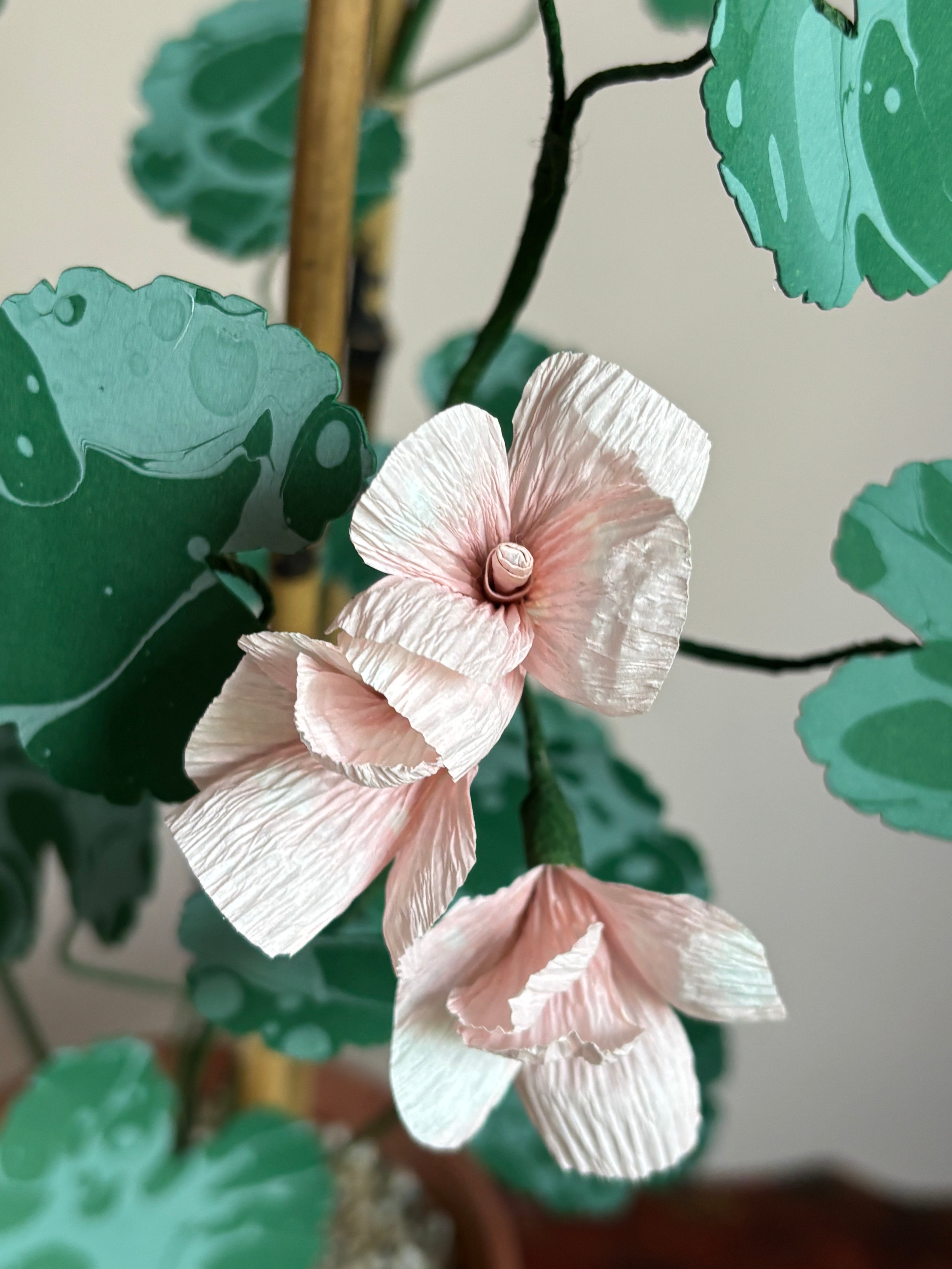 Paper Geranium