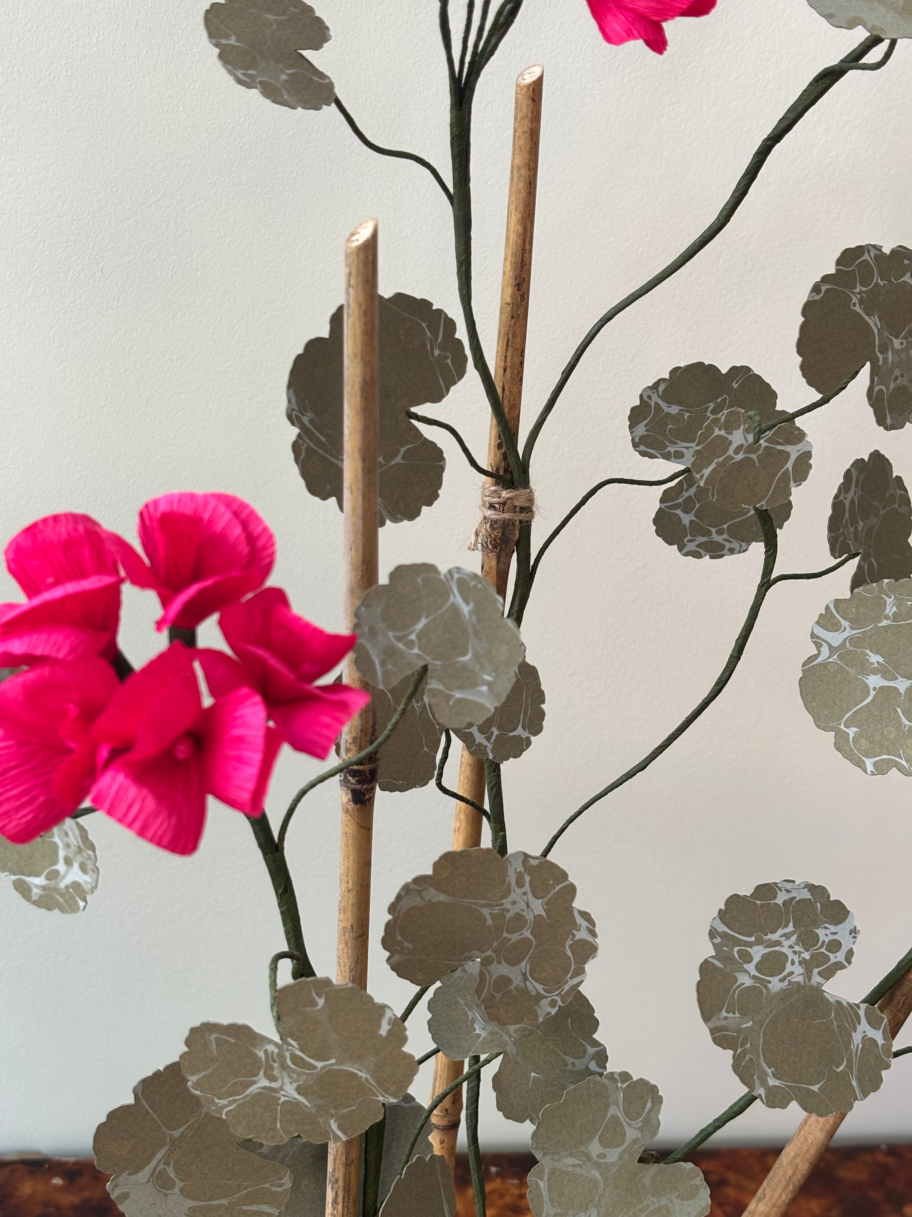 Paper Geranium