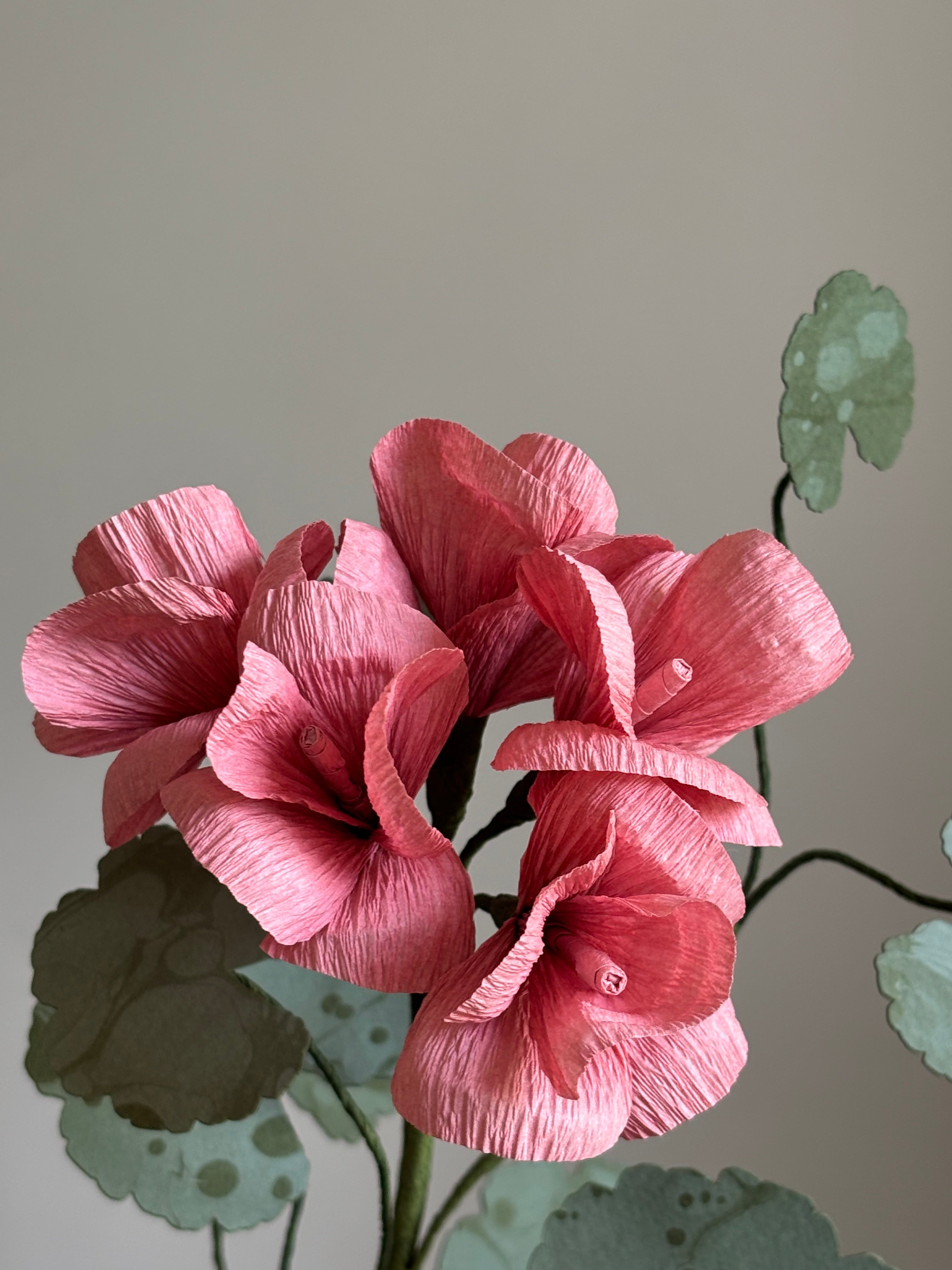 Paper Geraniums