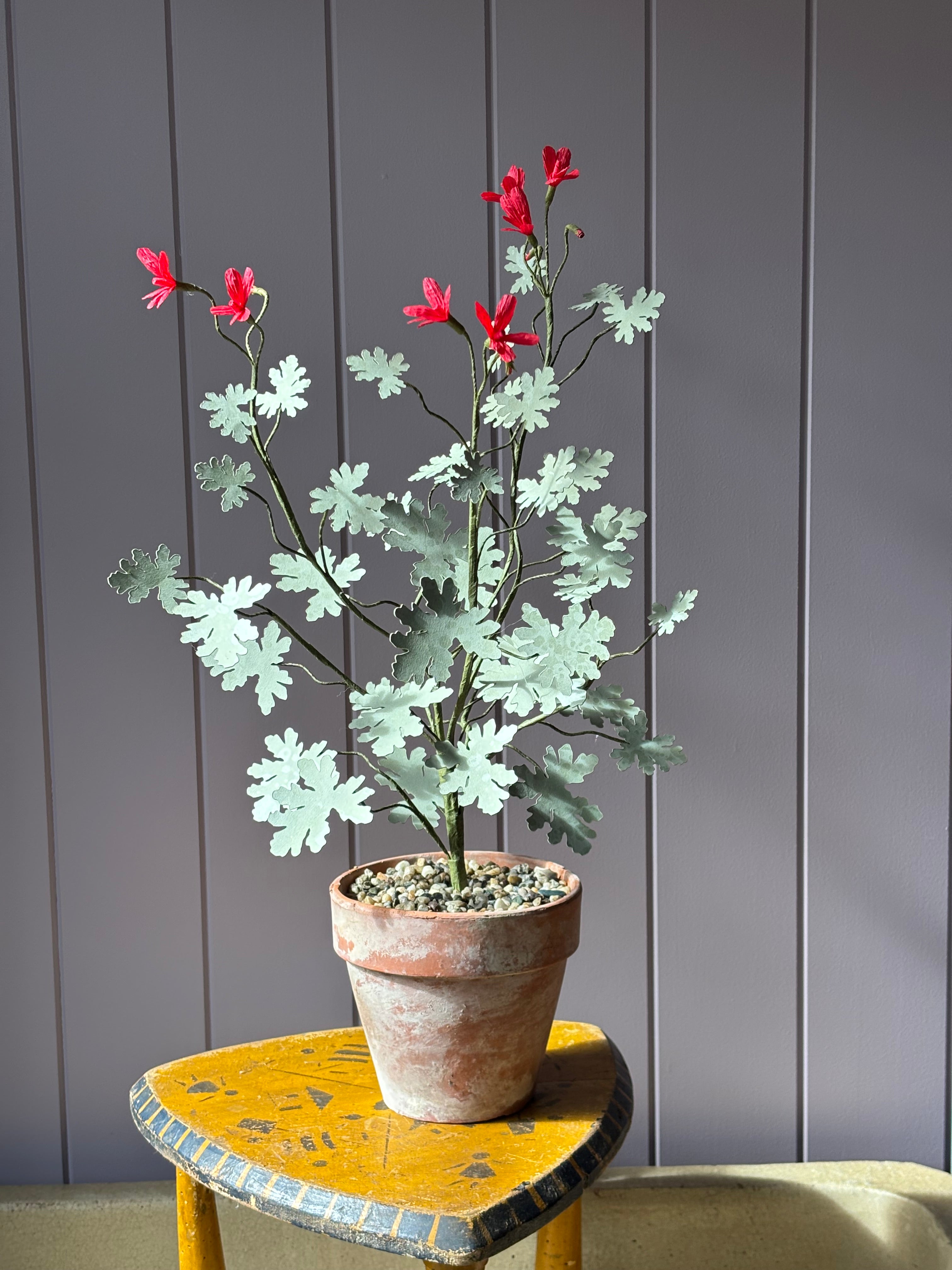Paper pelargonium inspired by Radens variety