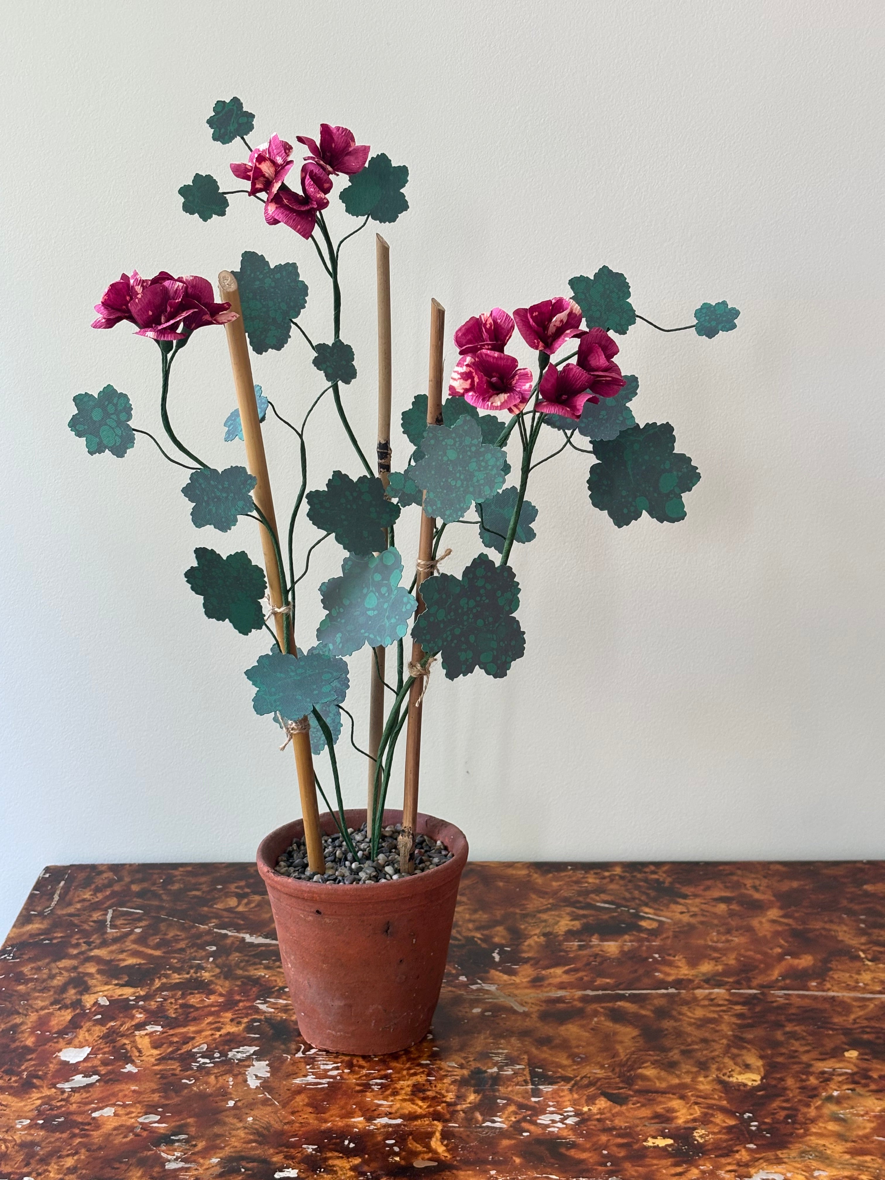 Paper Geranium