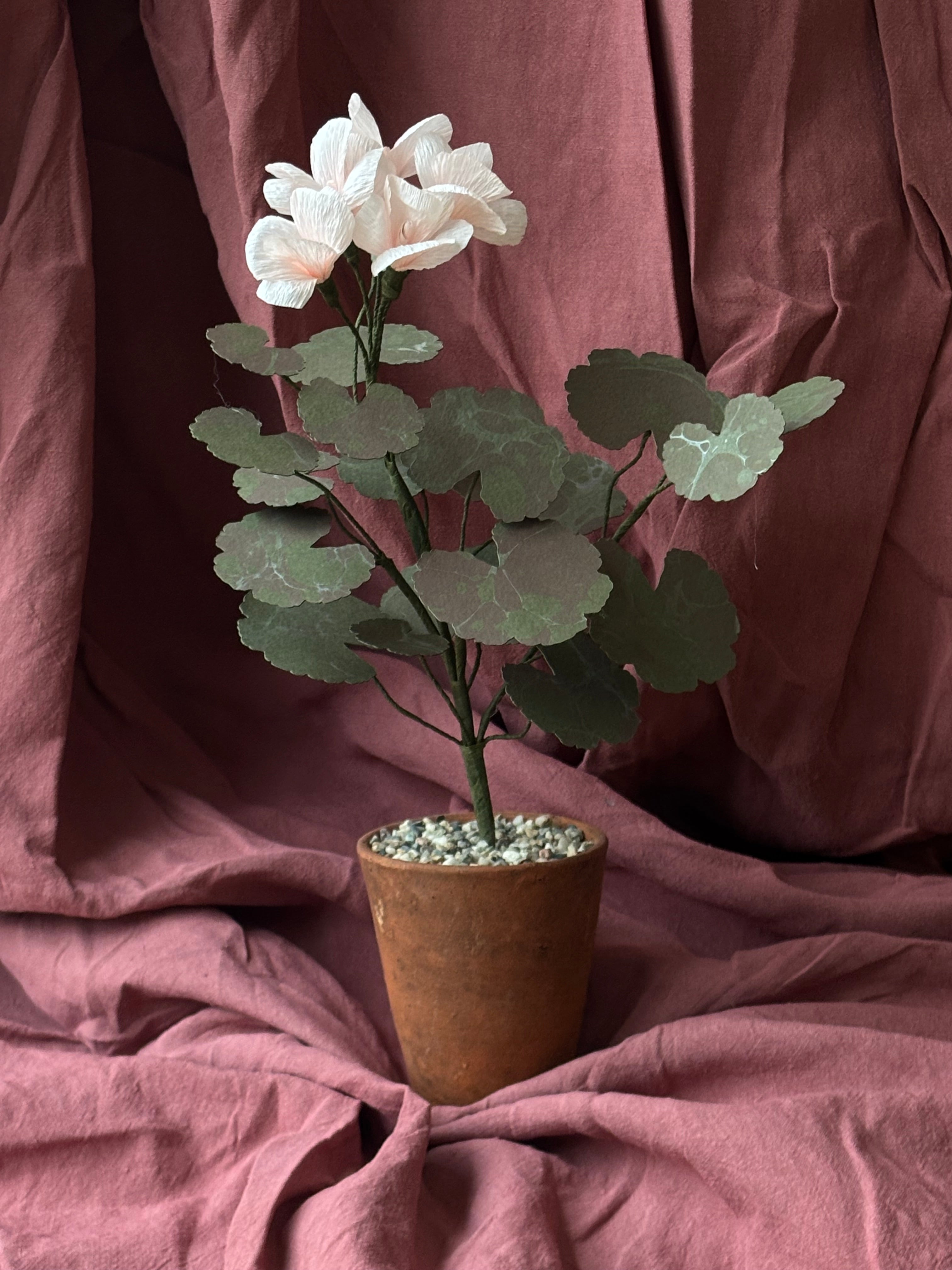 Paper Geranium