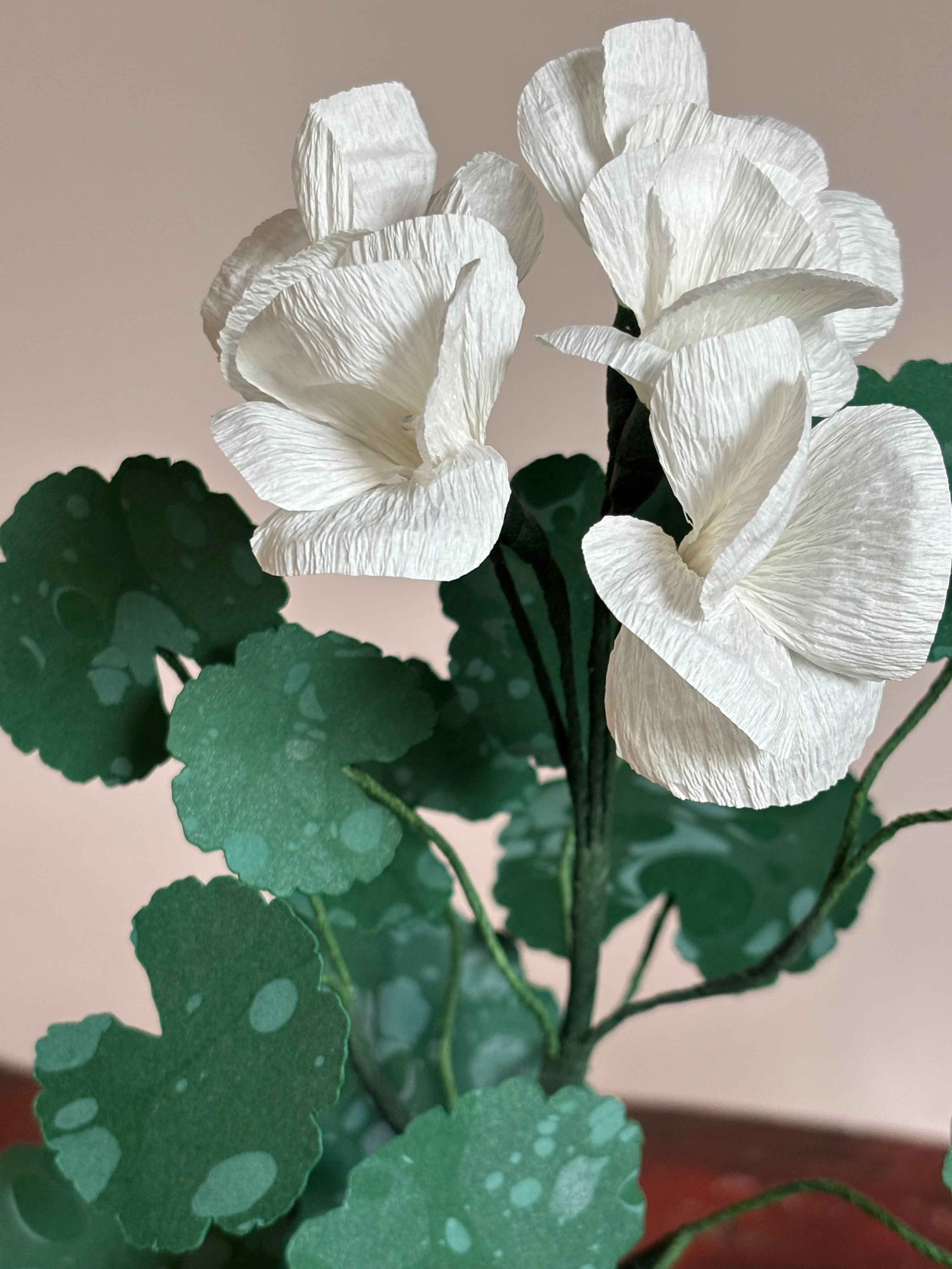 Paper Geranium