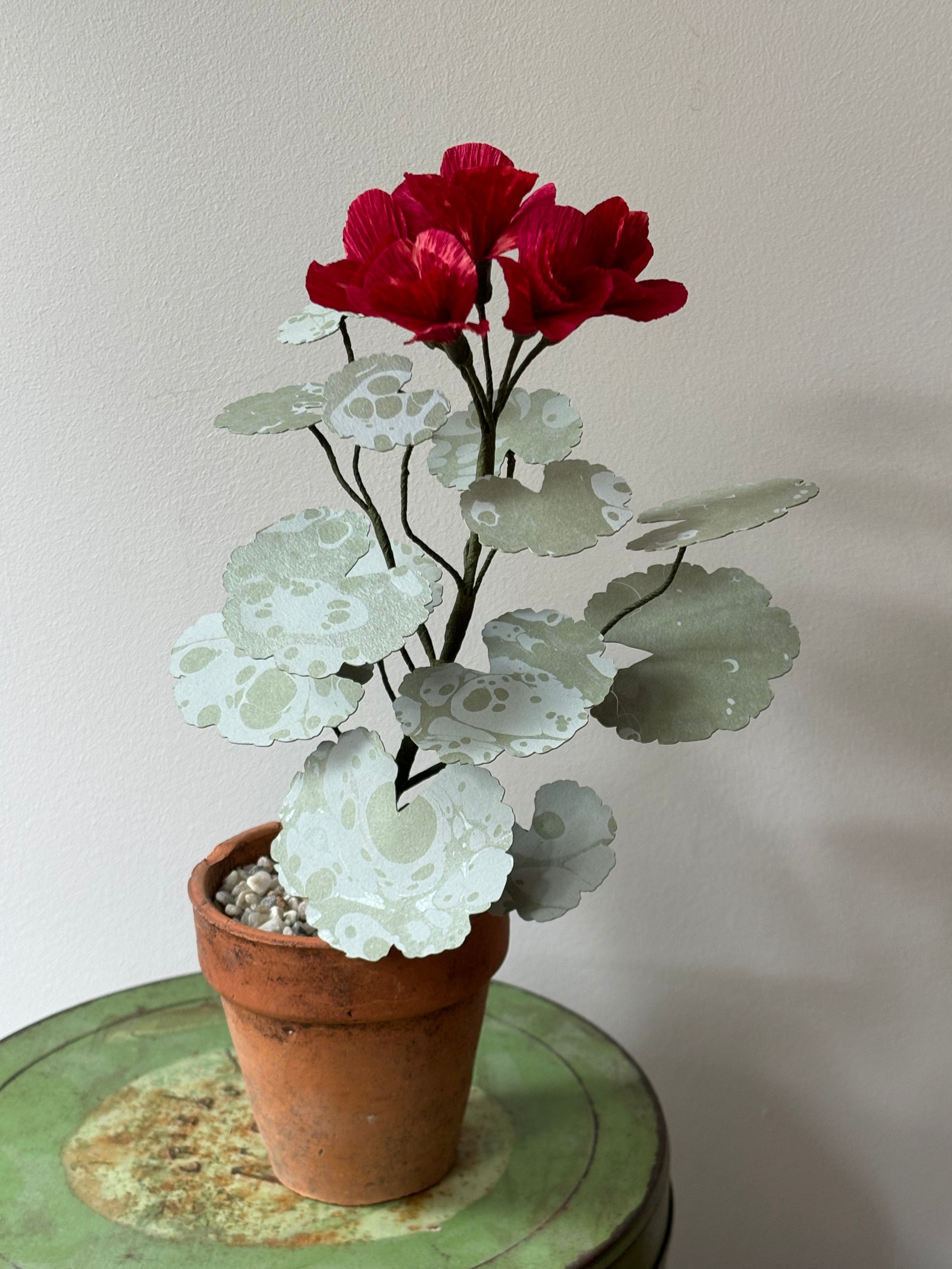 Paper Geranium