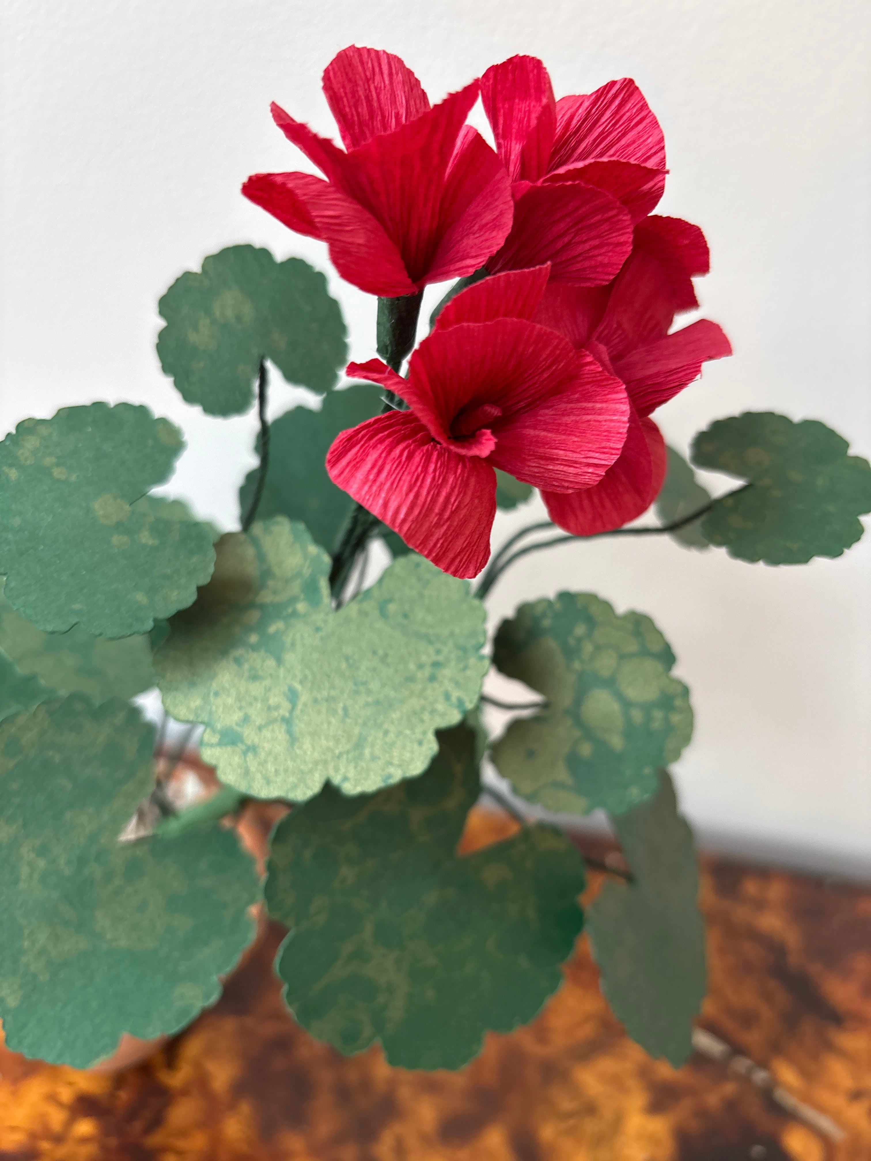 Paper Geranium