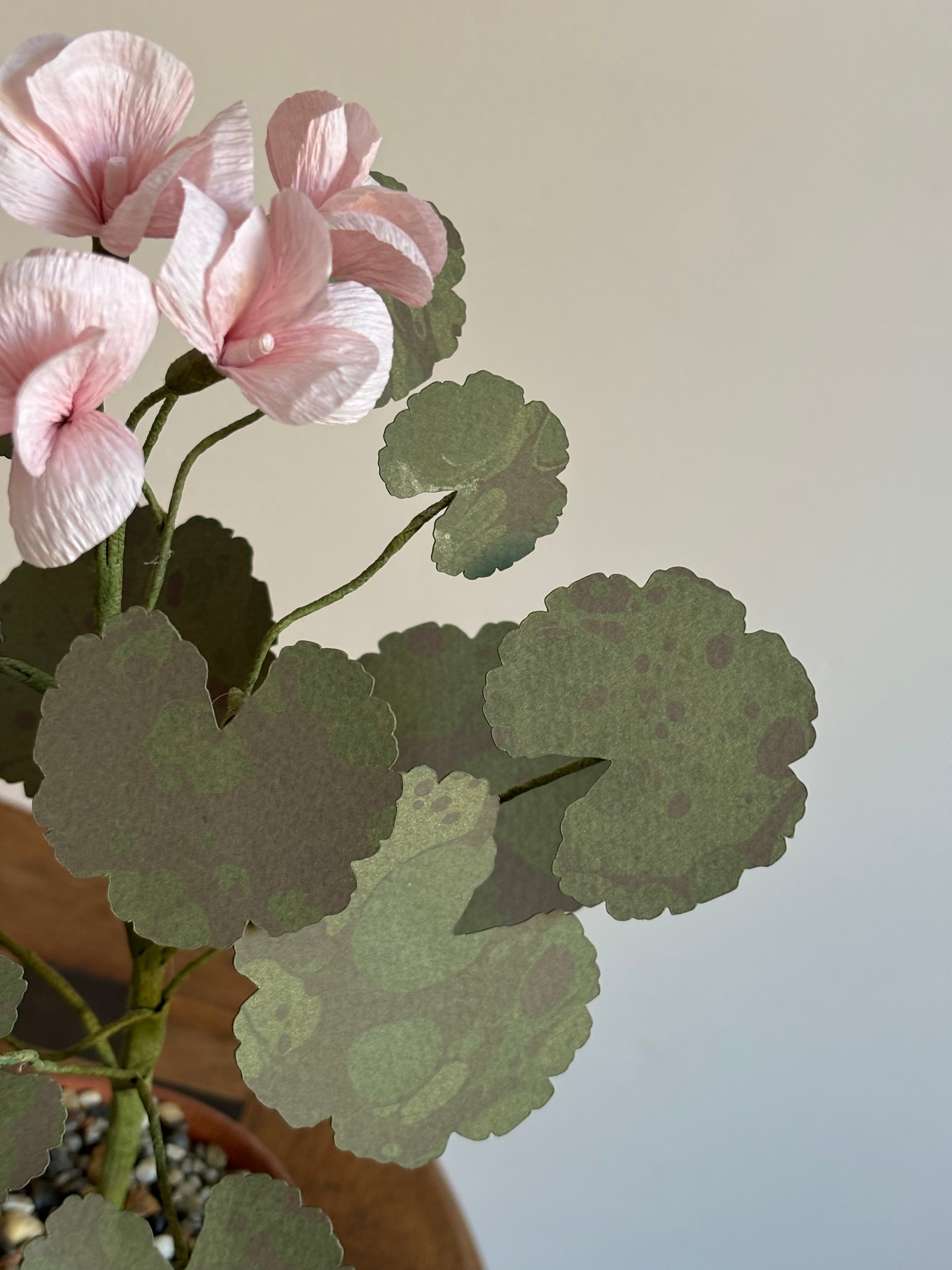 Paper Geranium