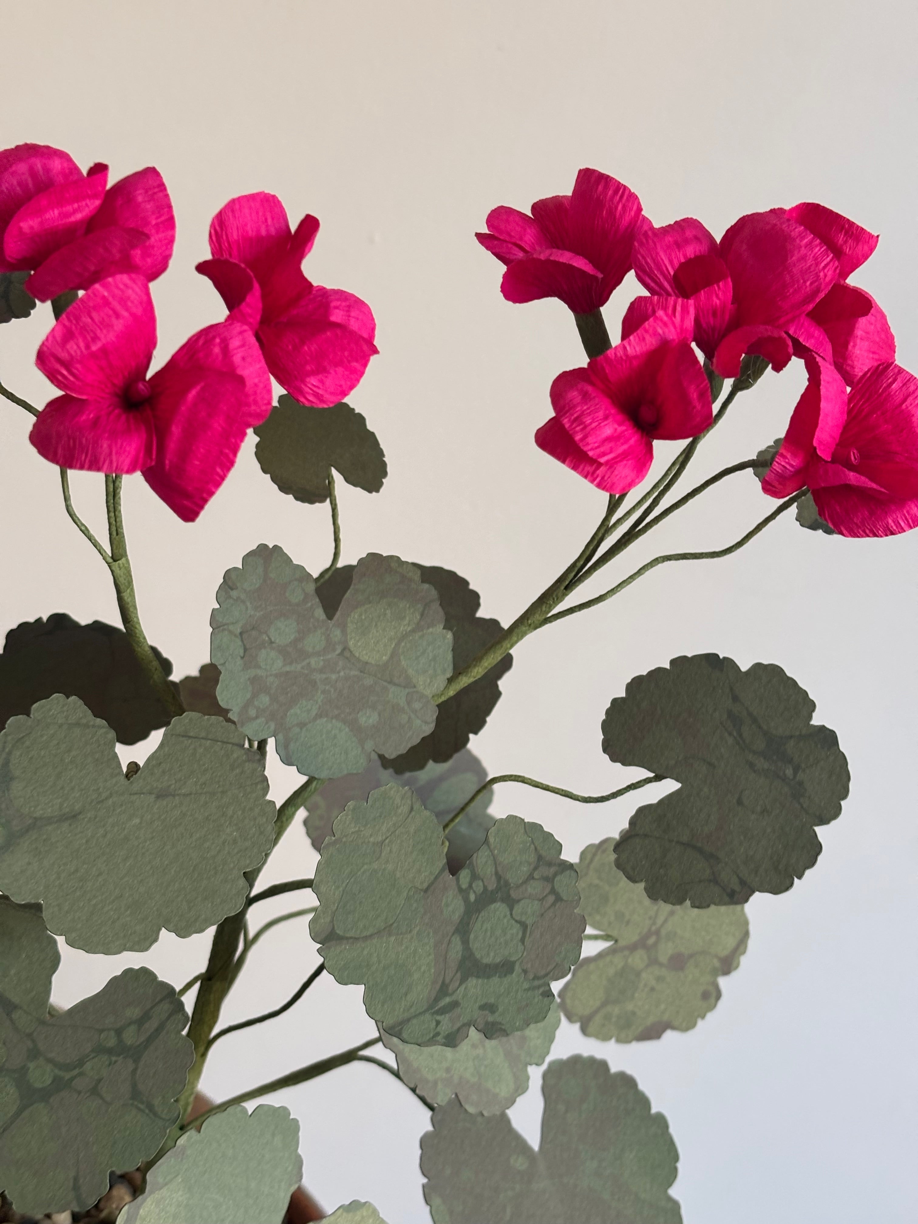 Paper Geranium
