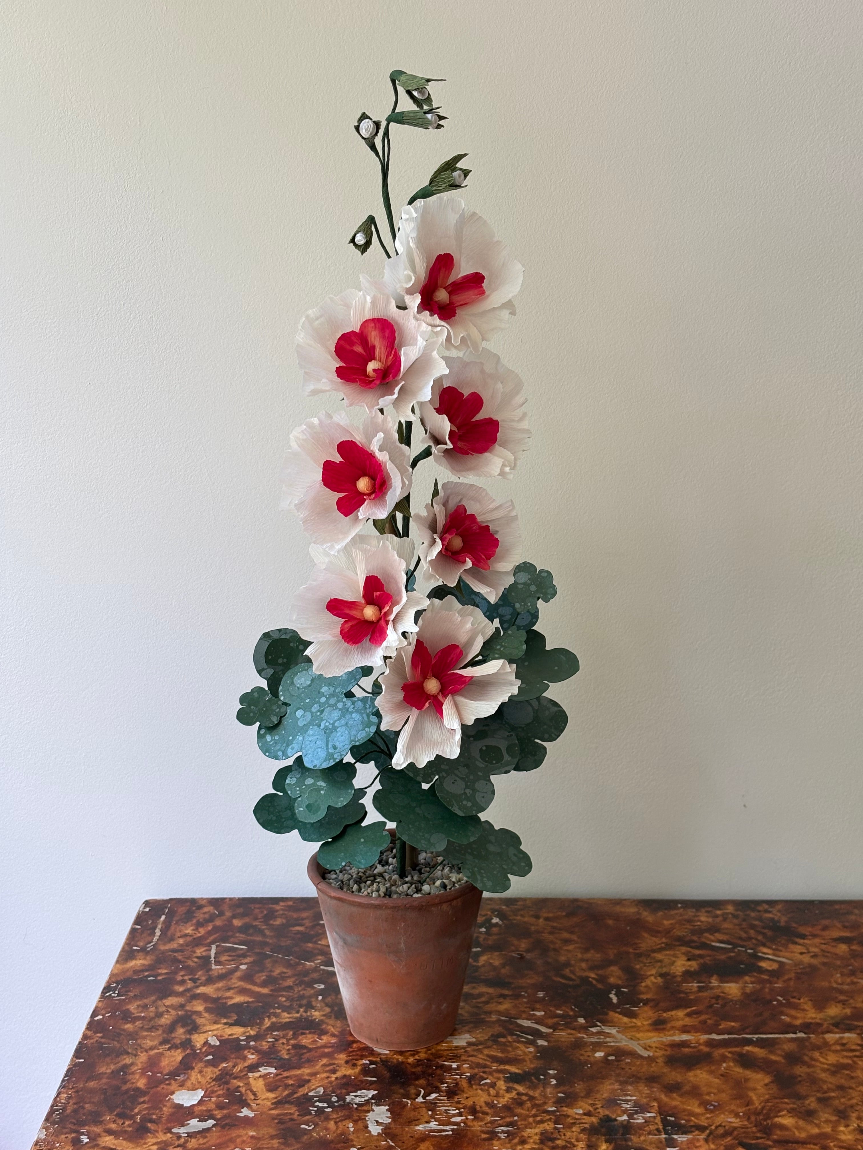 Paper Hollyhock