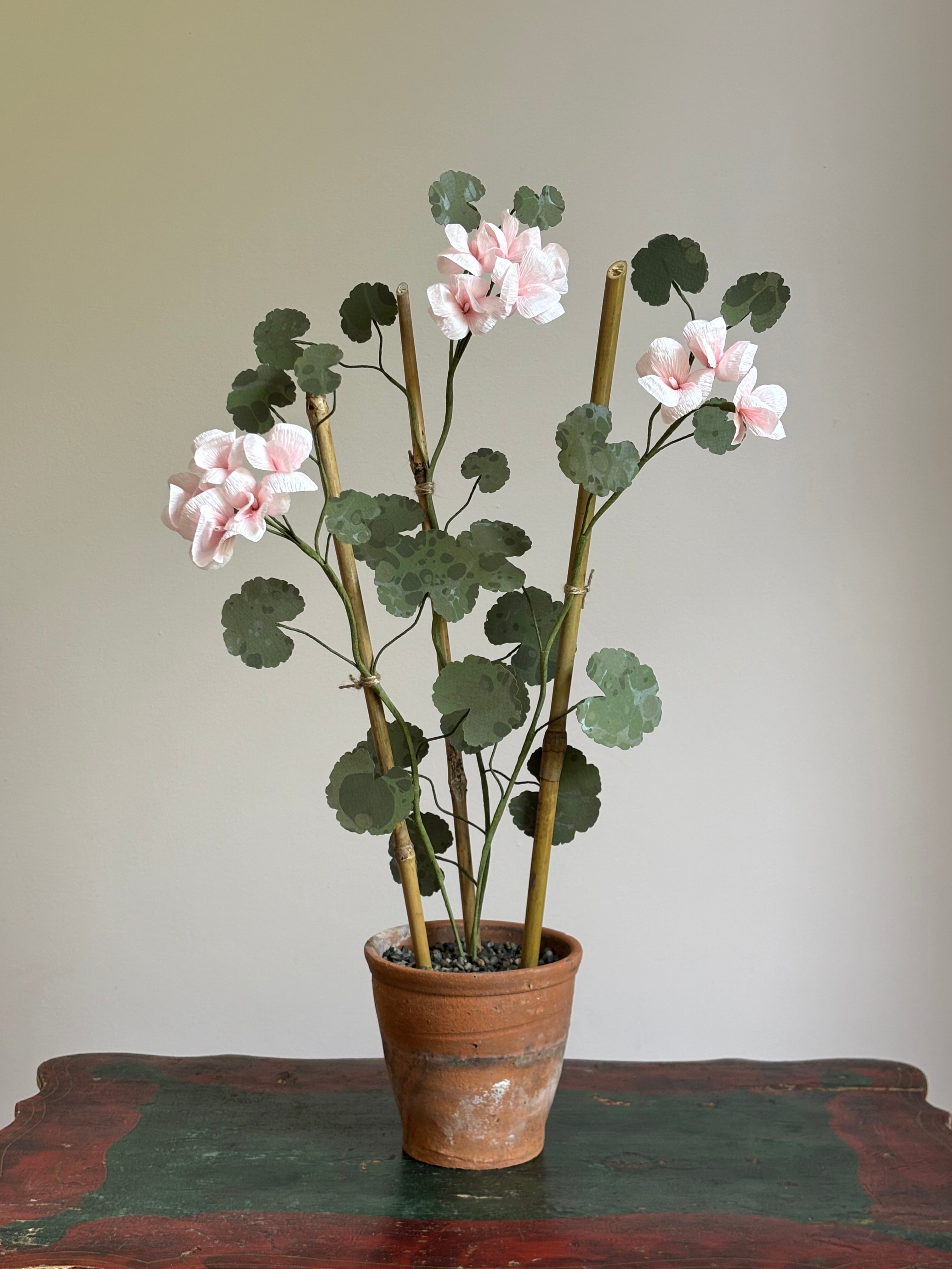 Paper Geranium