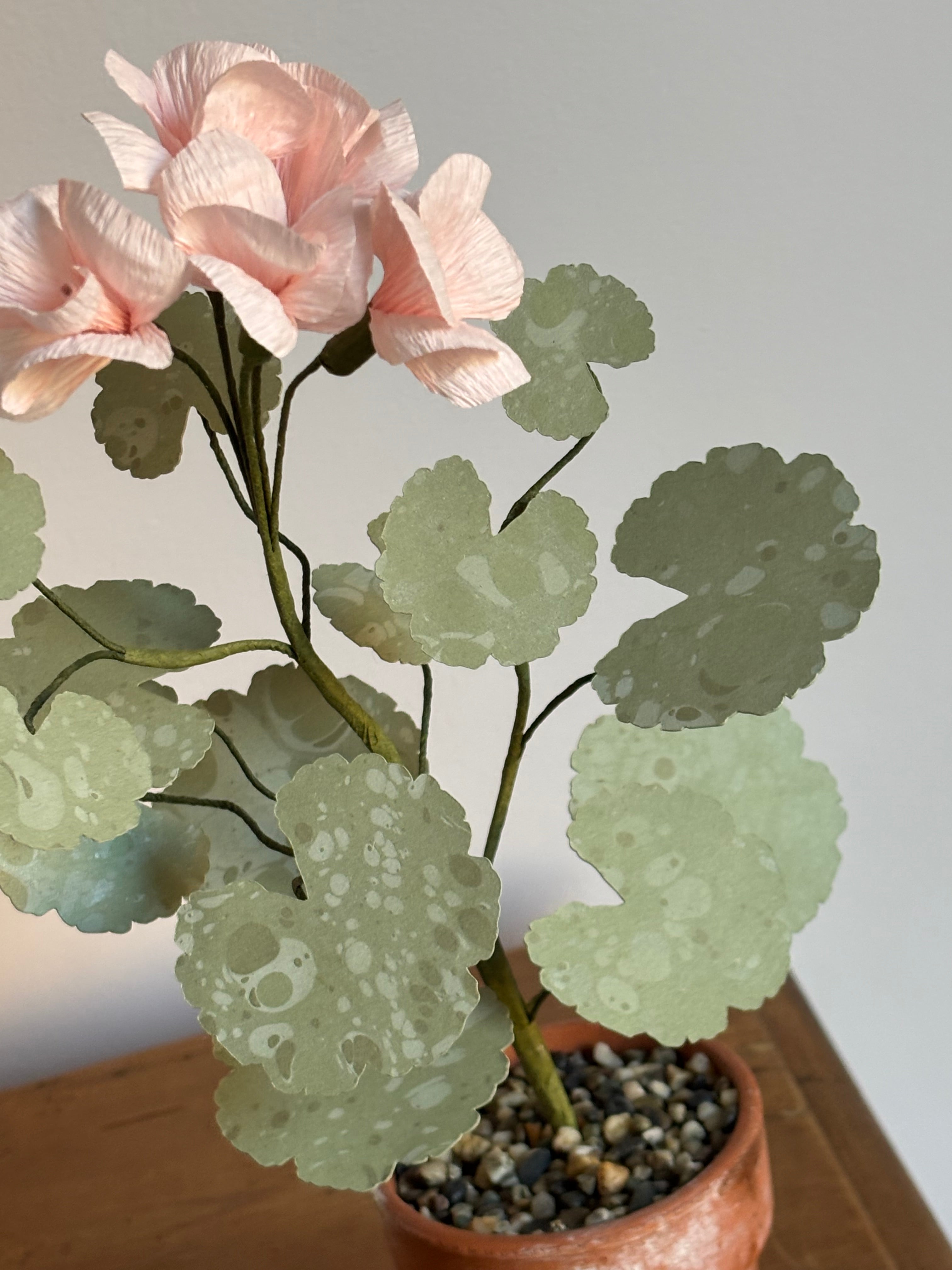 Paper Geranium