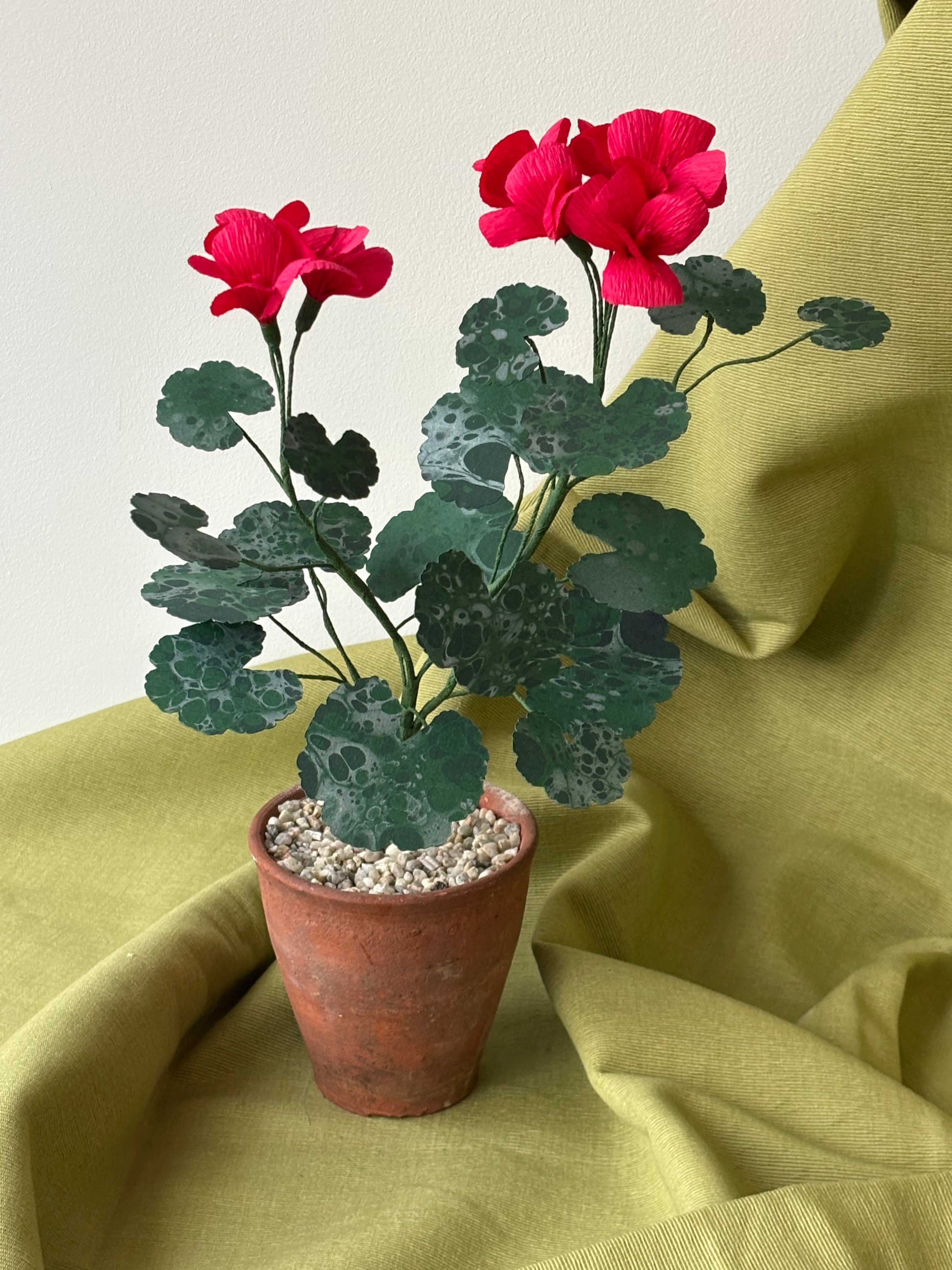 Paper Geranium