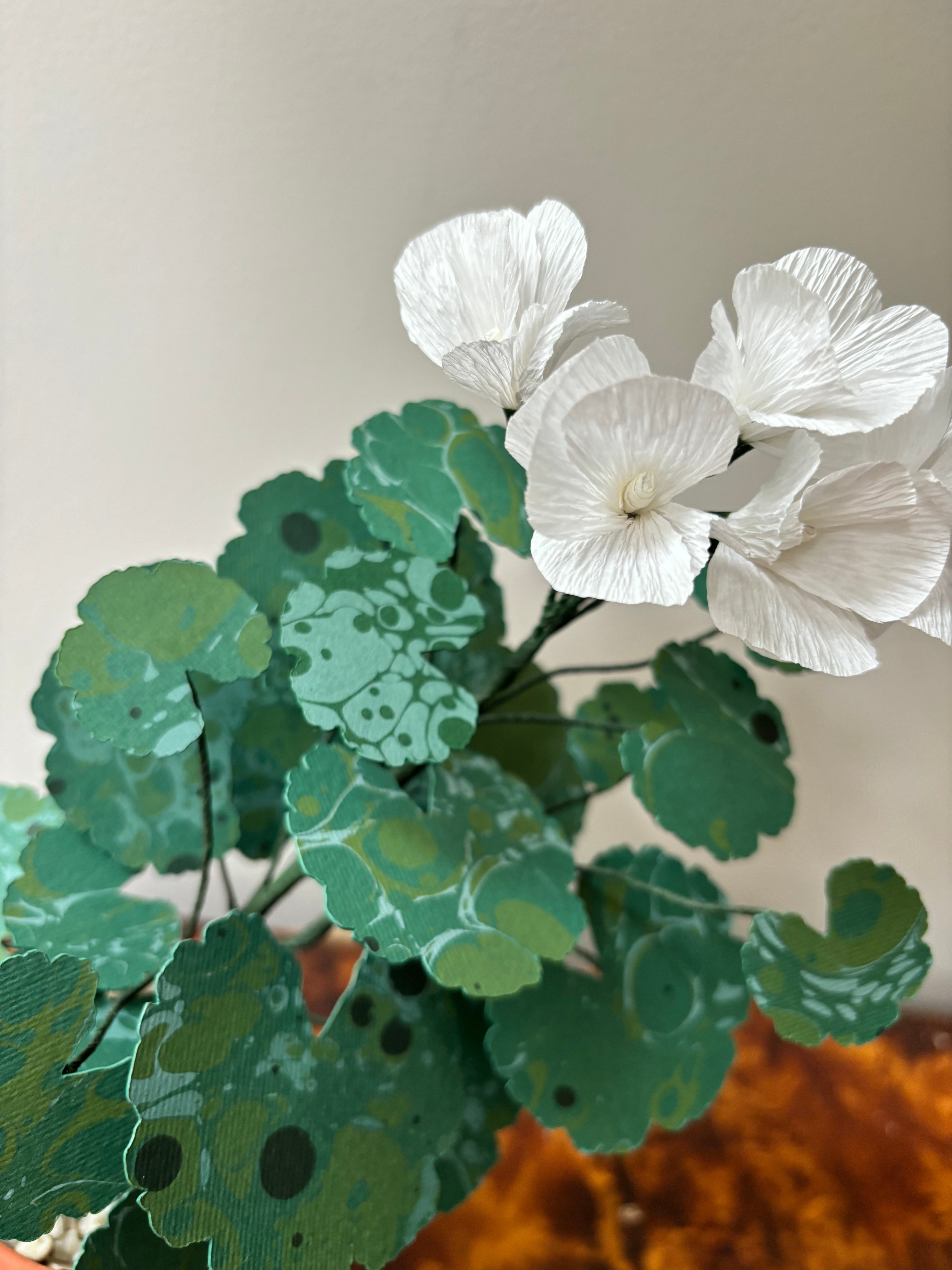 Paper Geranium