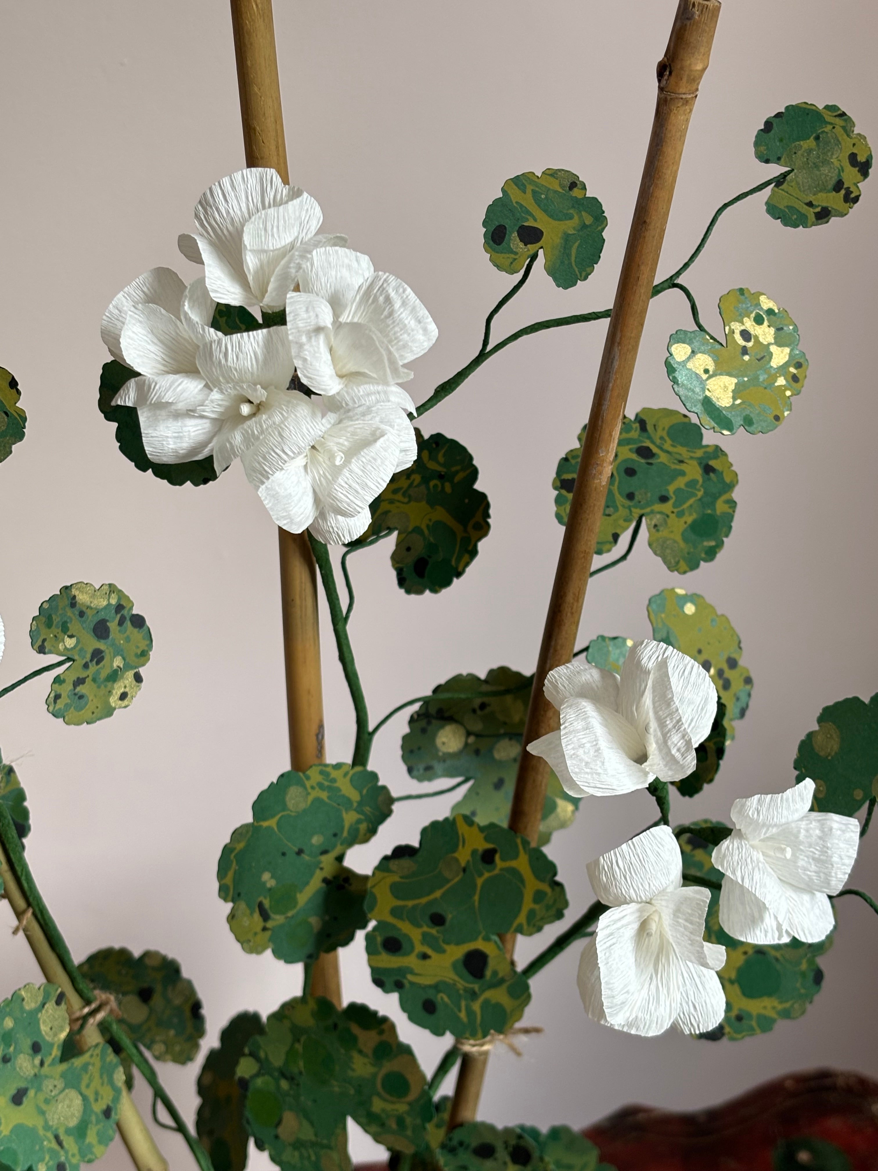 Paper Geranium