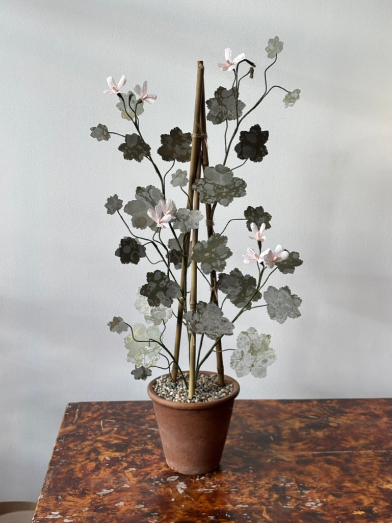 Paper Geranium