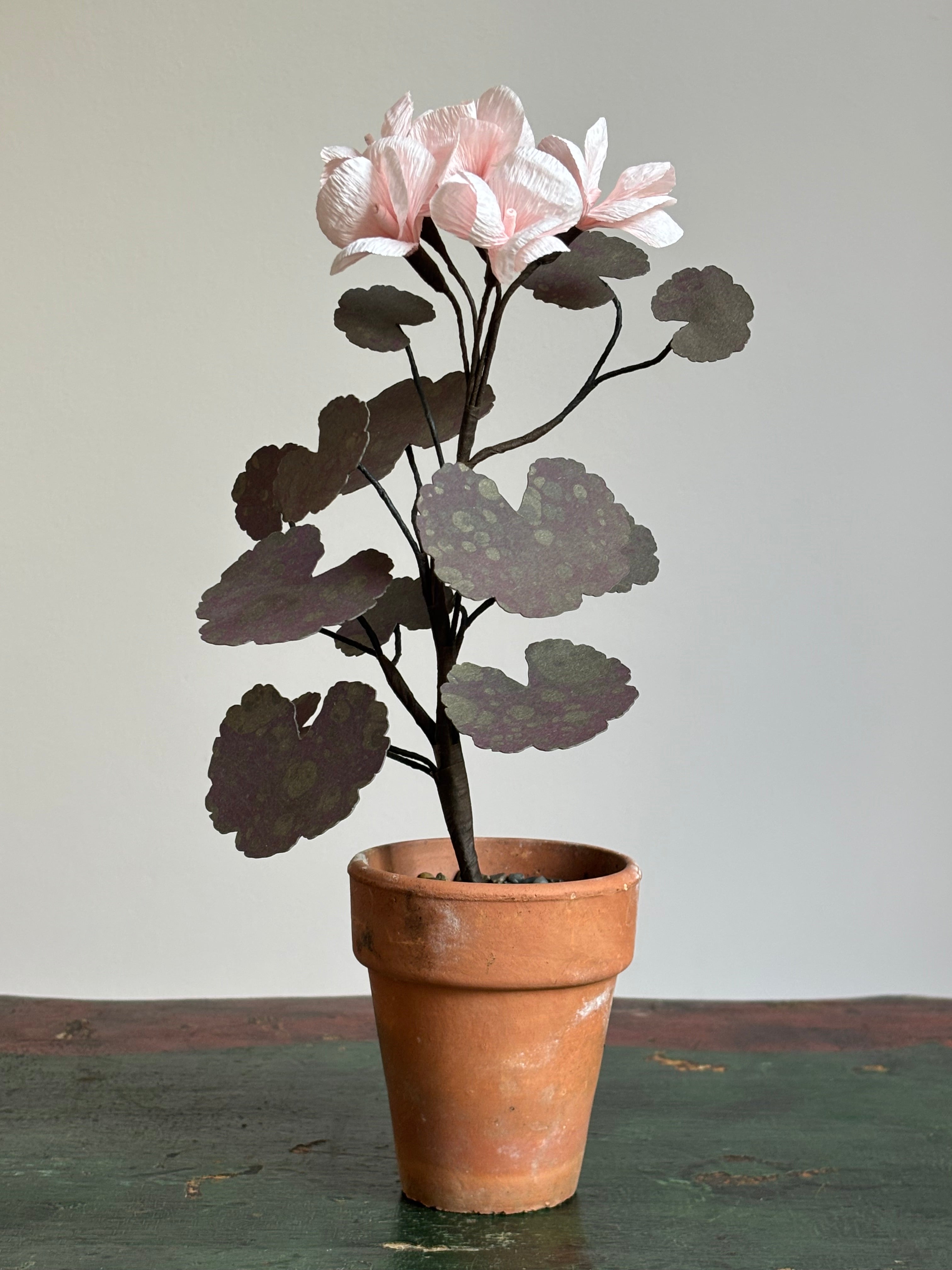 Paper Geranium