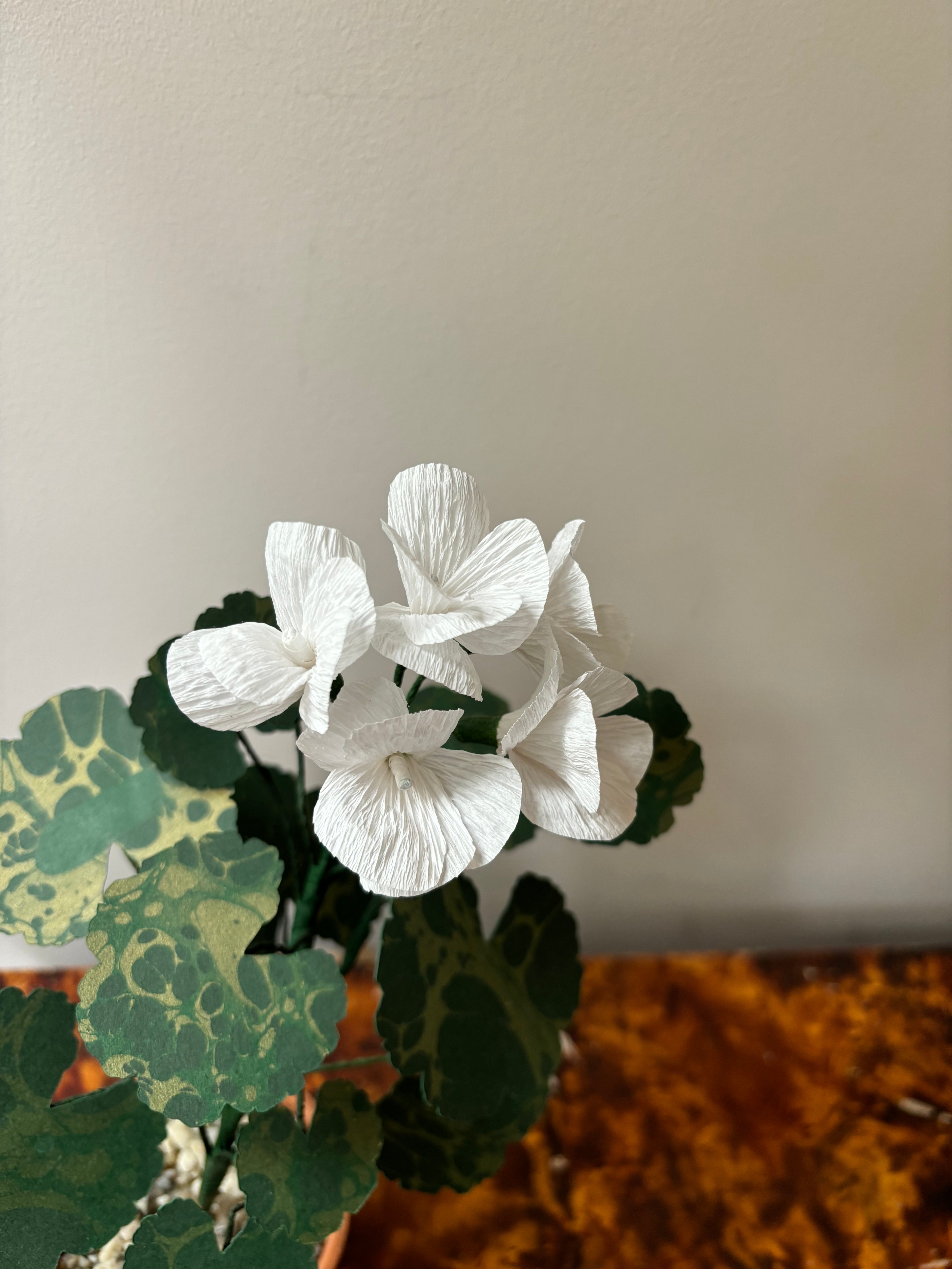 Paper Geranium