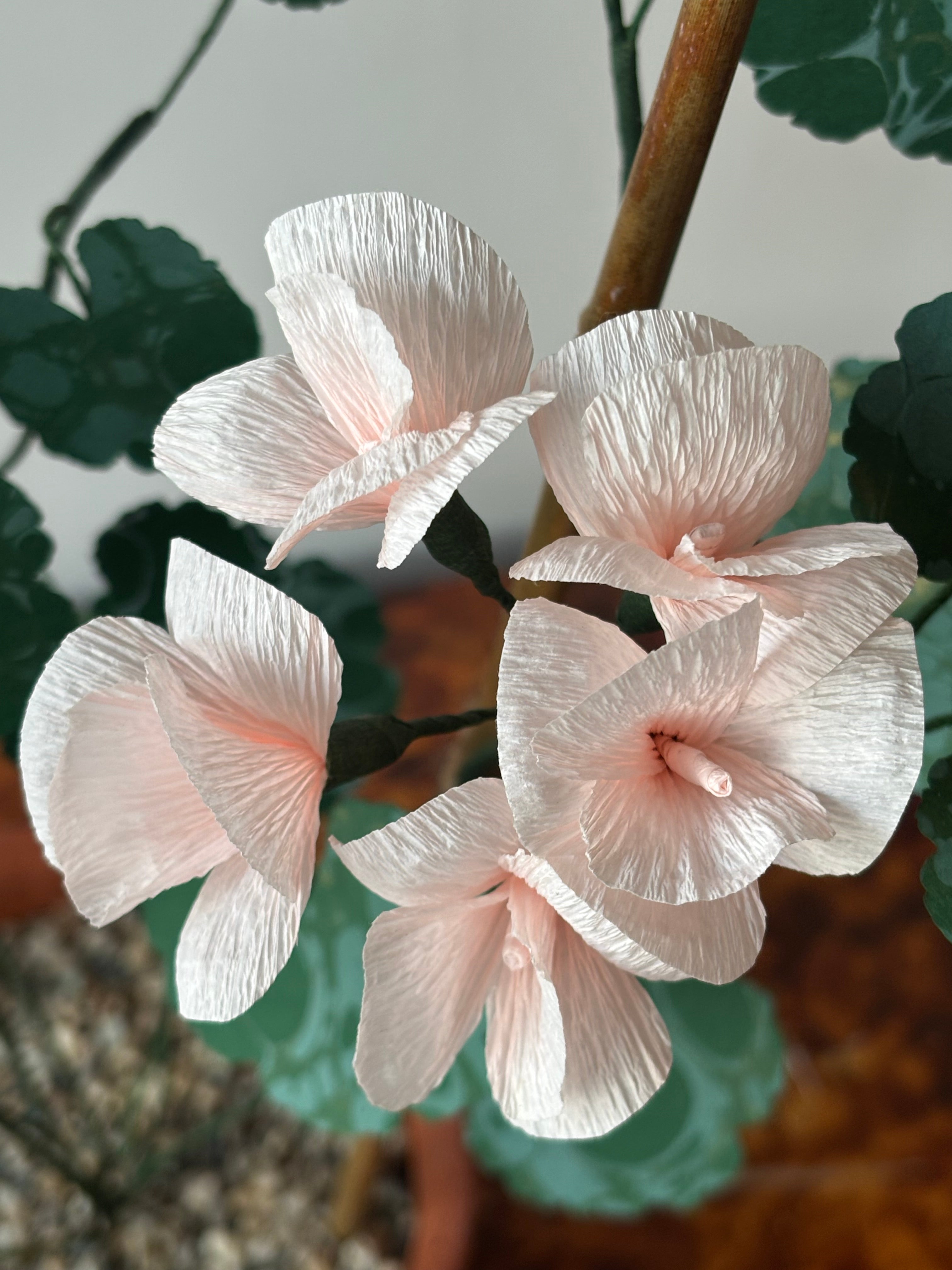 Paper Geranium