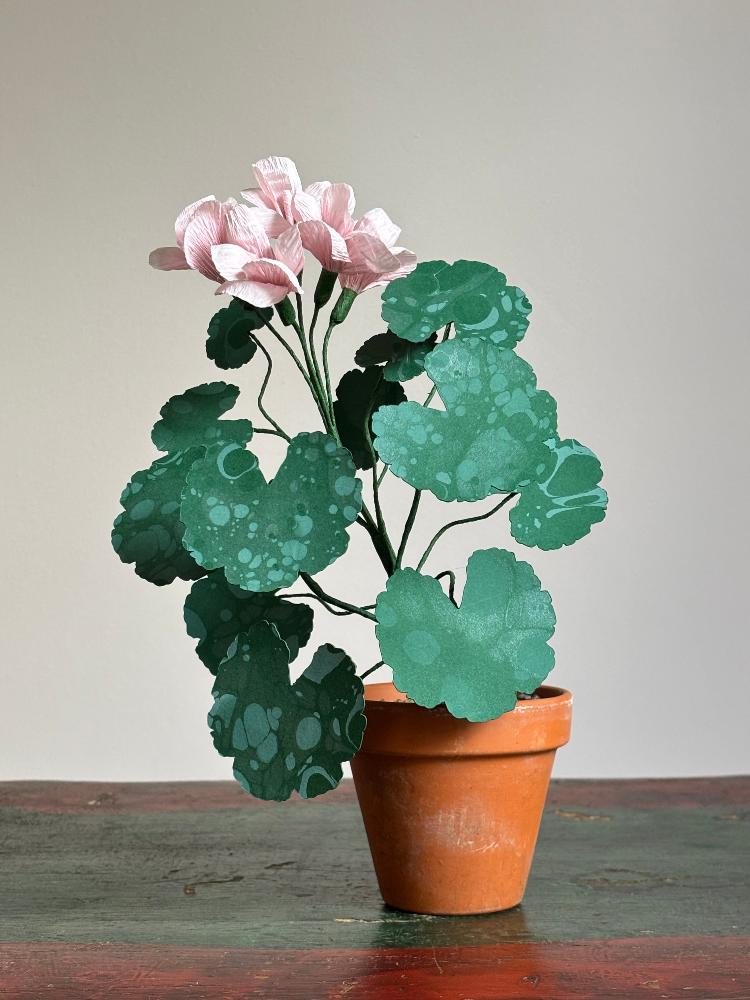 Paper Geranium