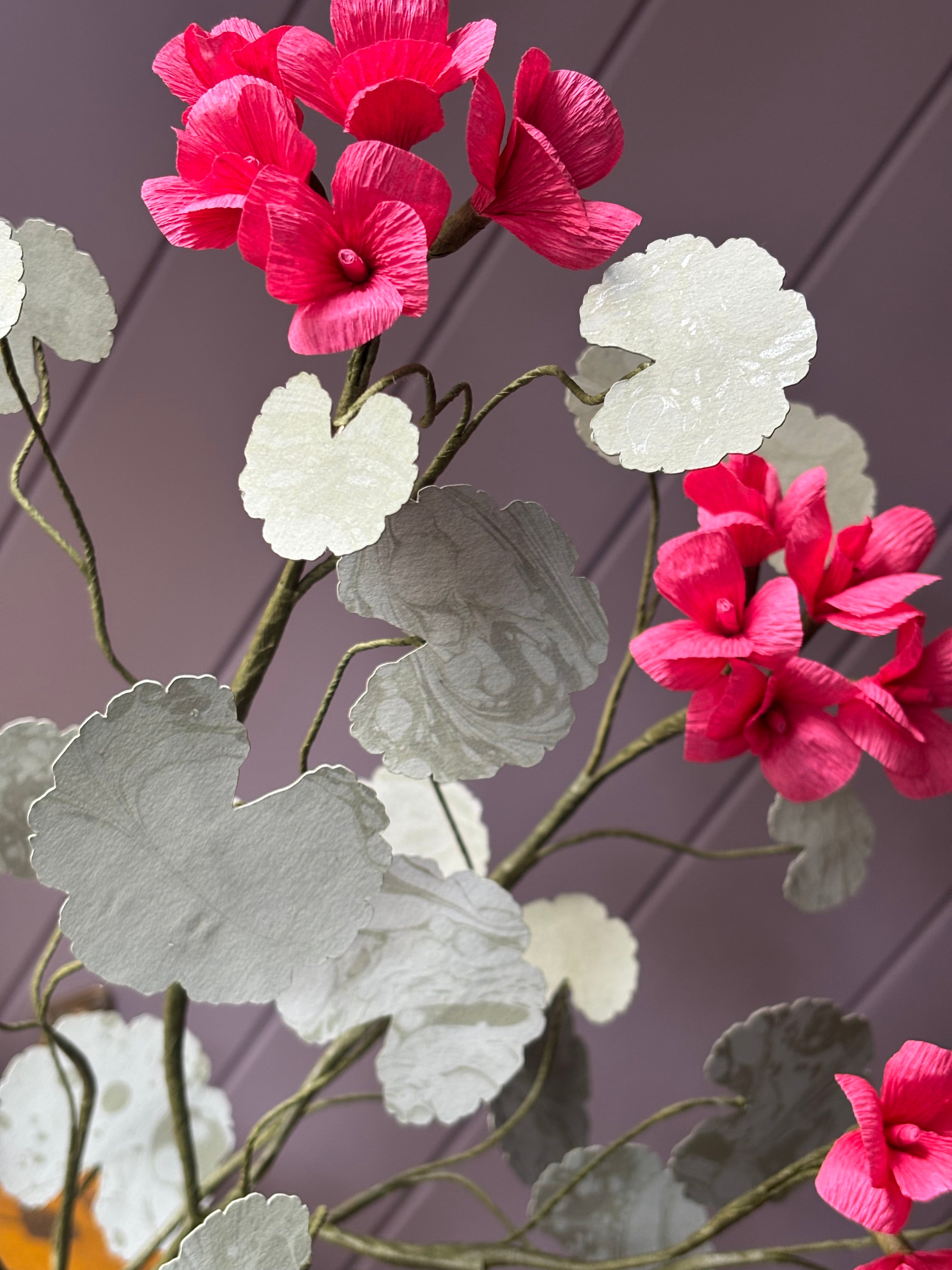 Paper geranium