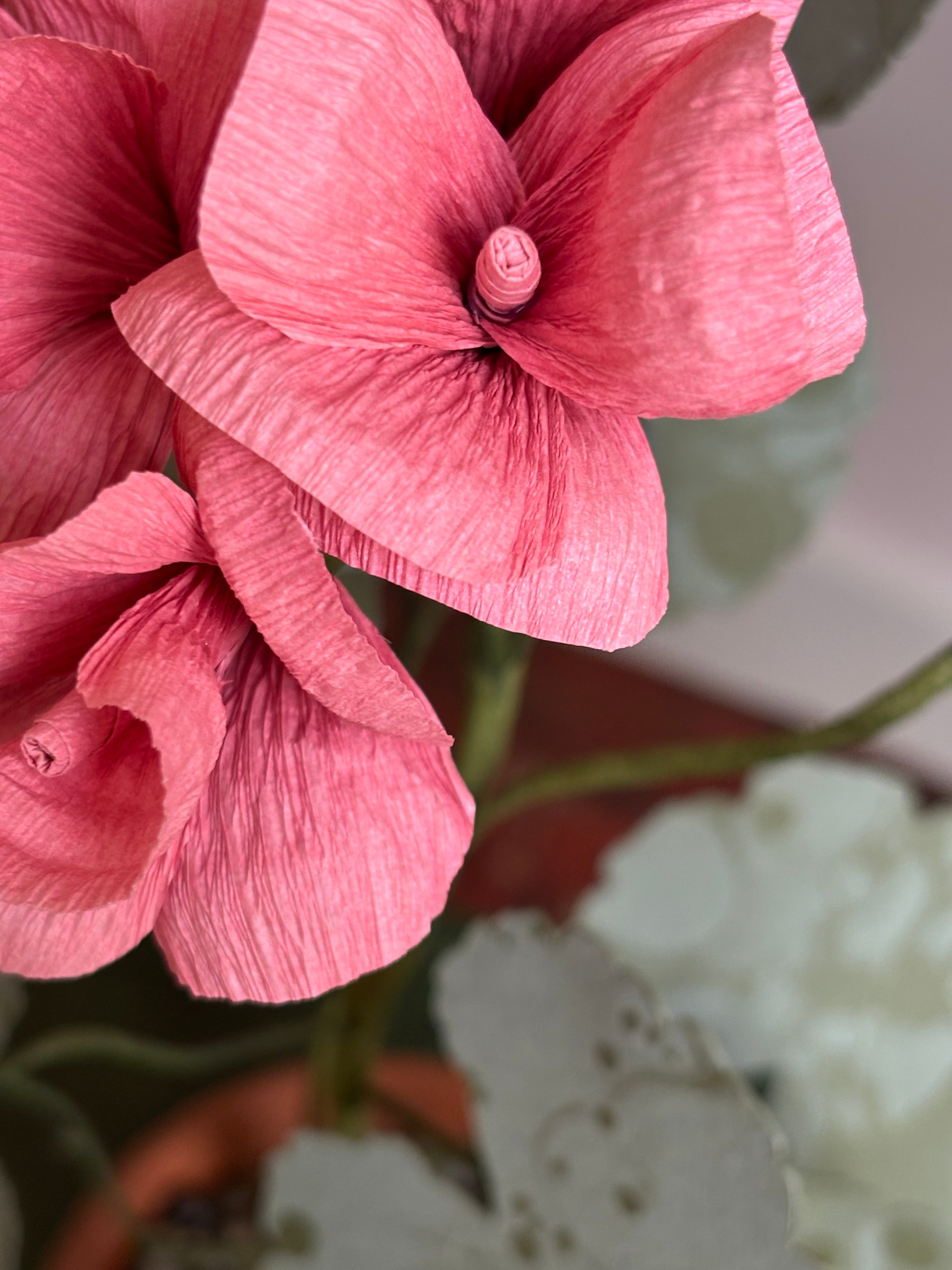 Paper Geraniums