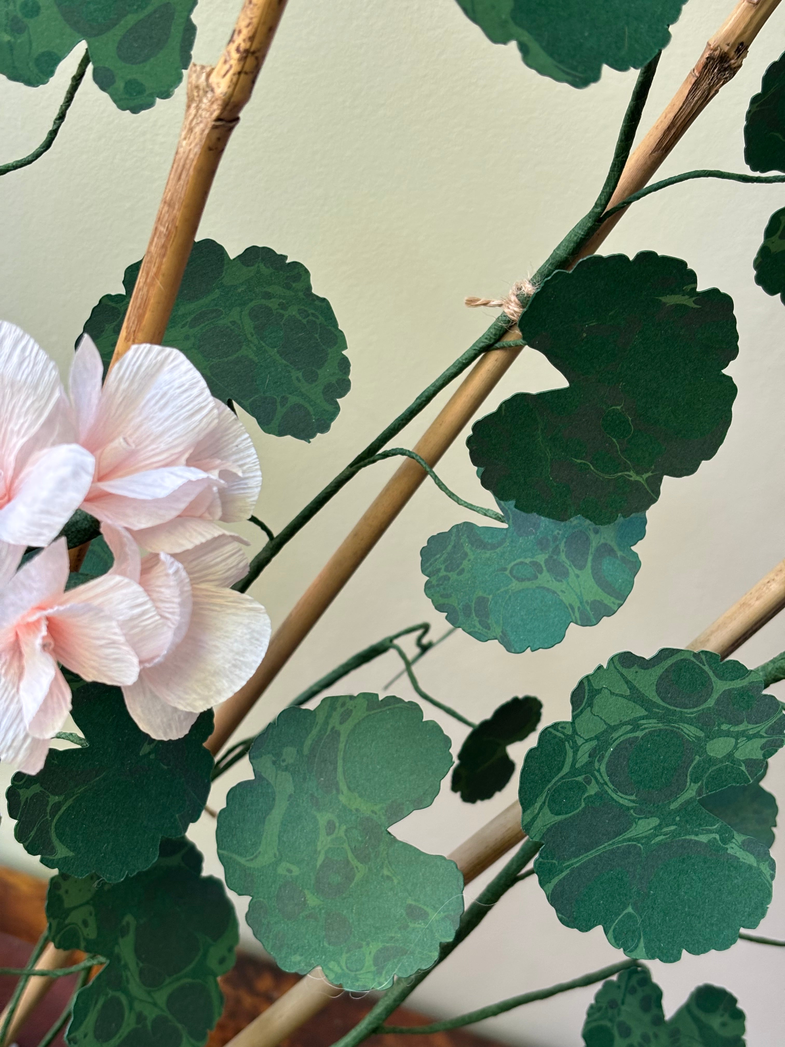 Paper Geranium