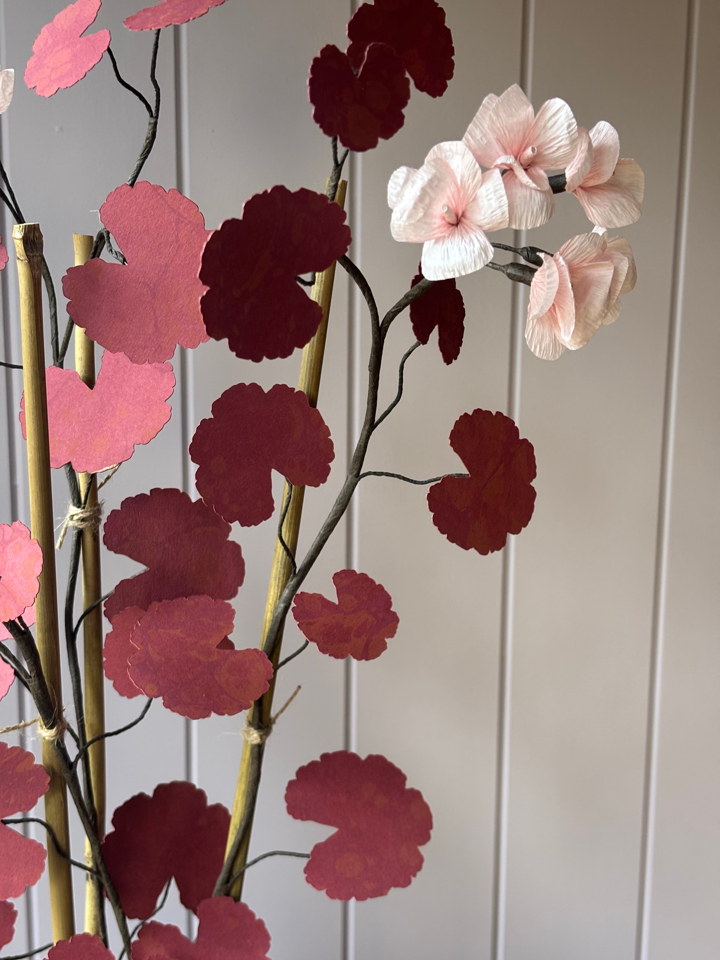Paper geranium