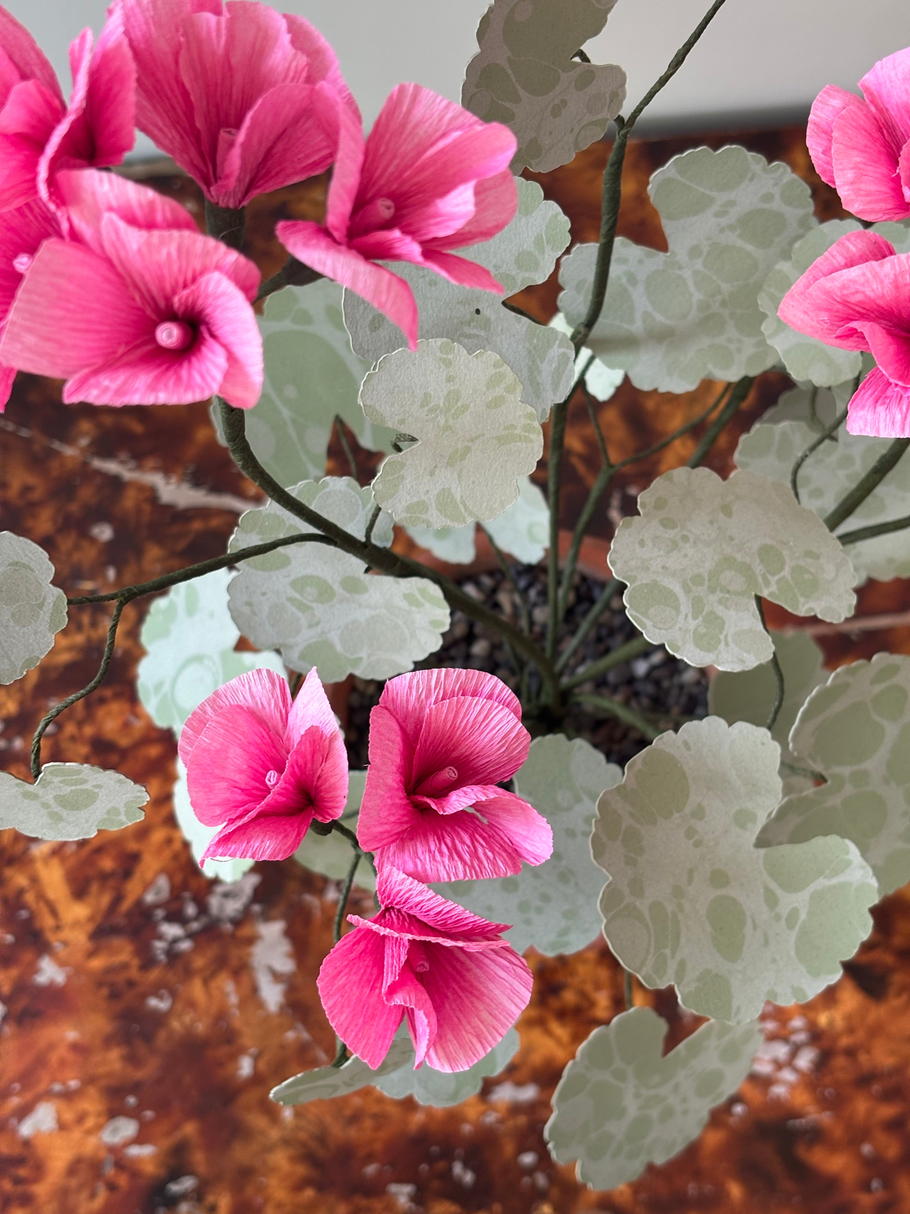 Paper Geranium