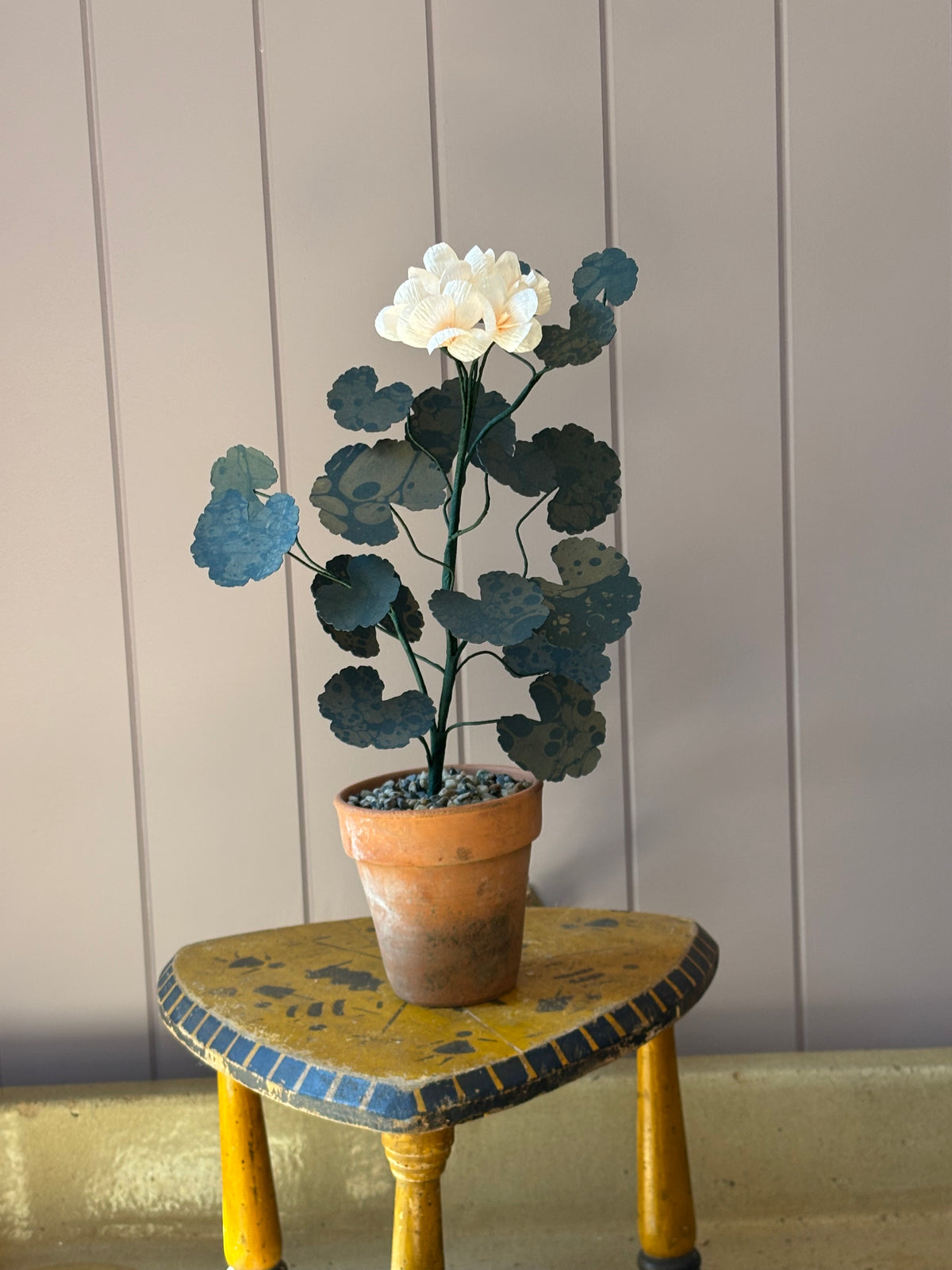 Paper geranium
