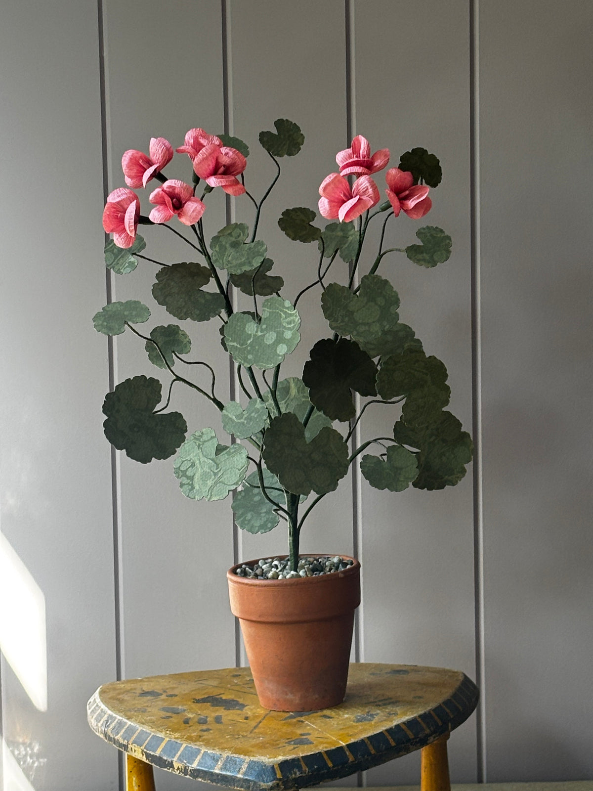 Paper geranium