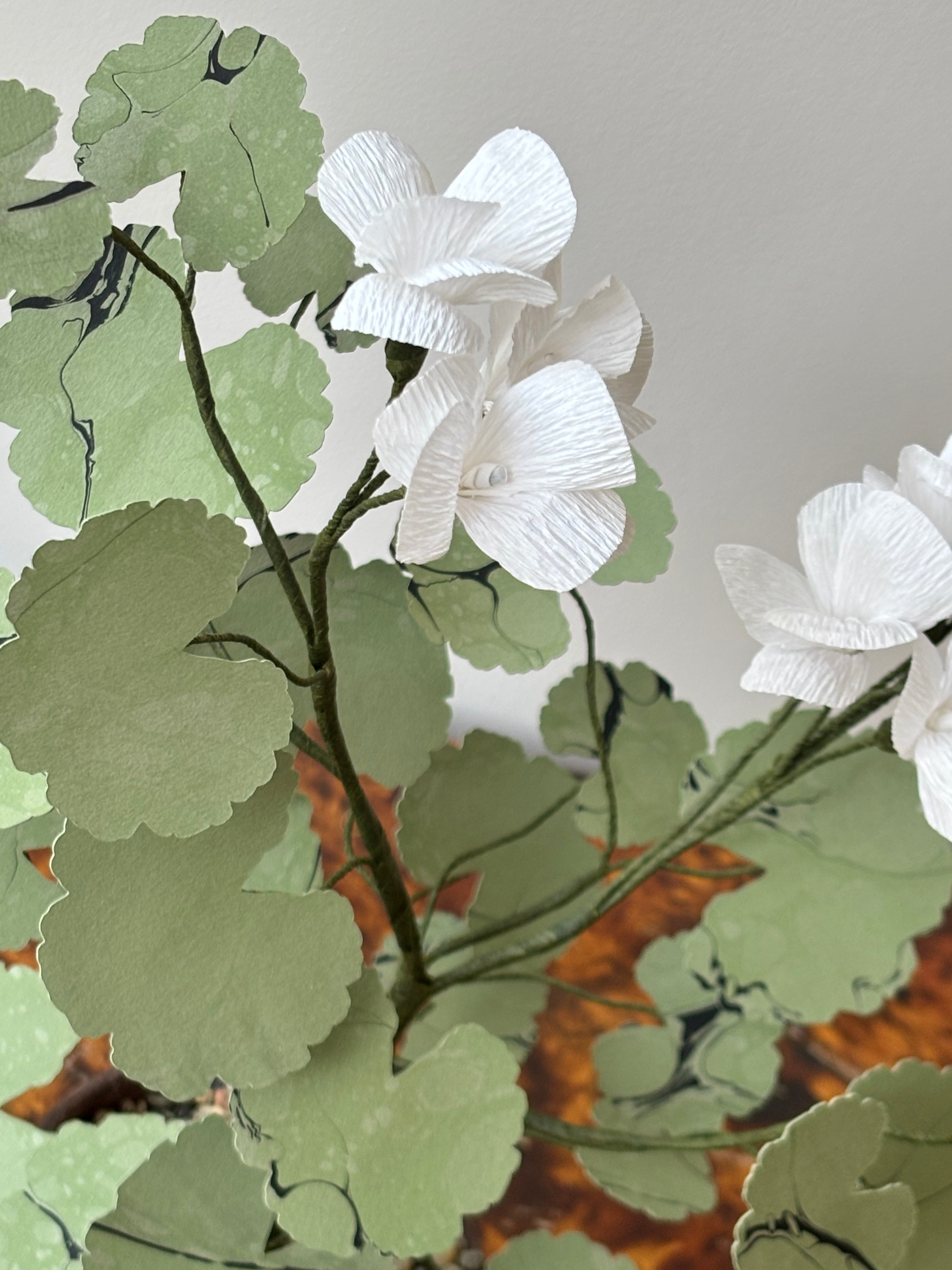 Paper Geranium