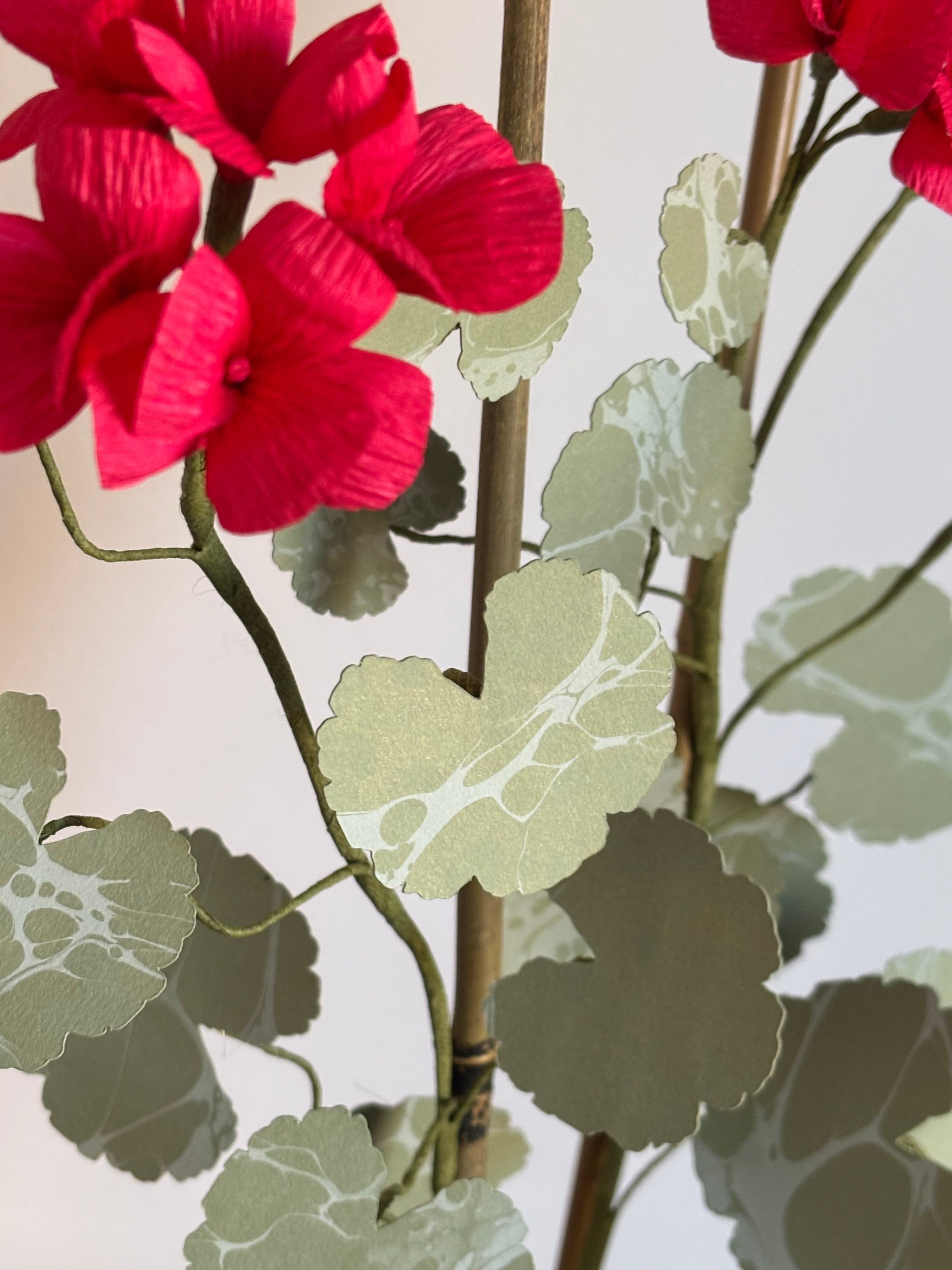 Paper Geranium