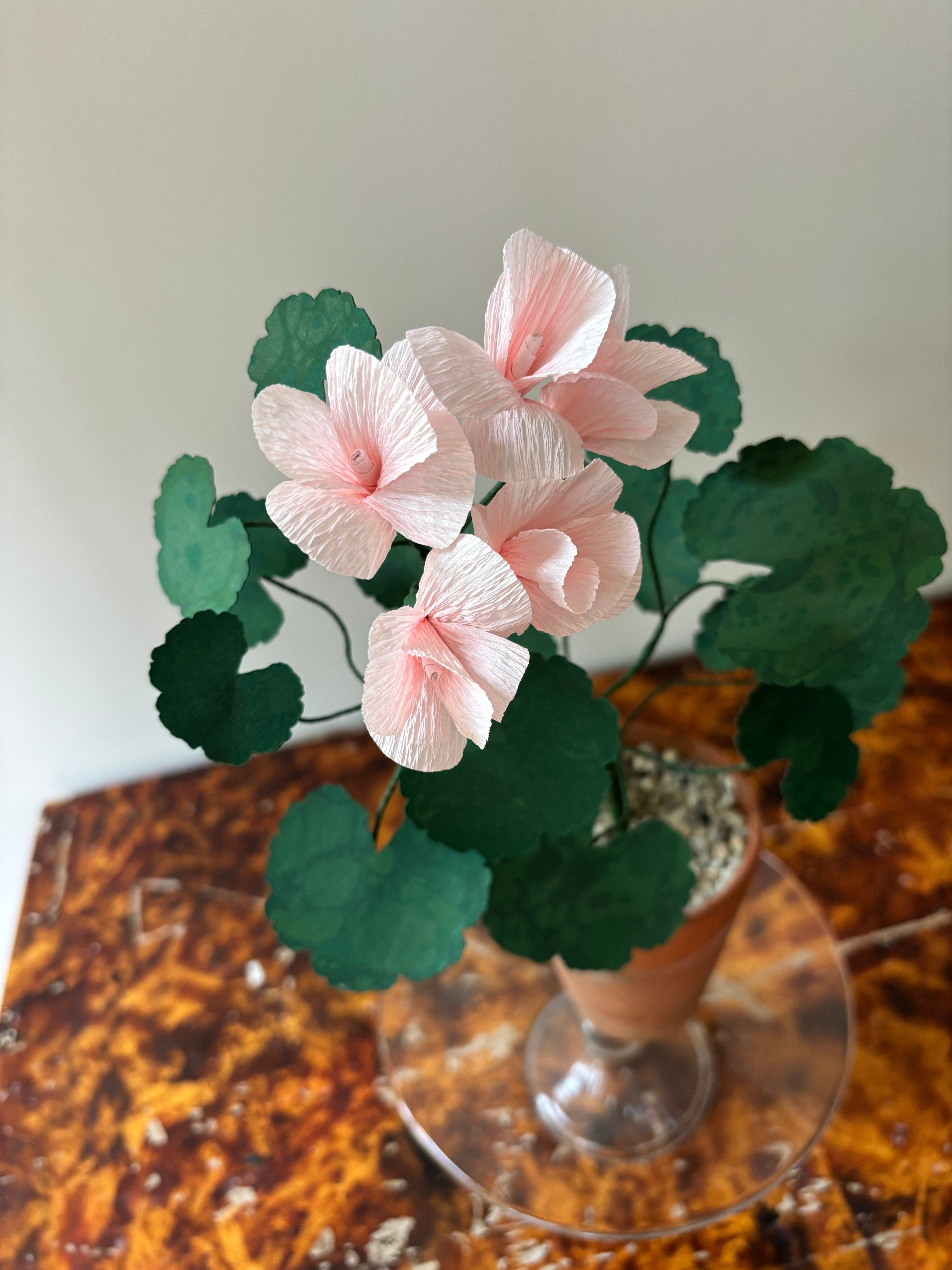 Paper Geranium