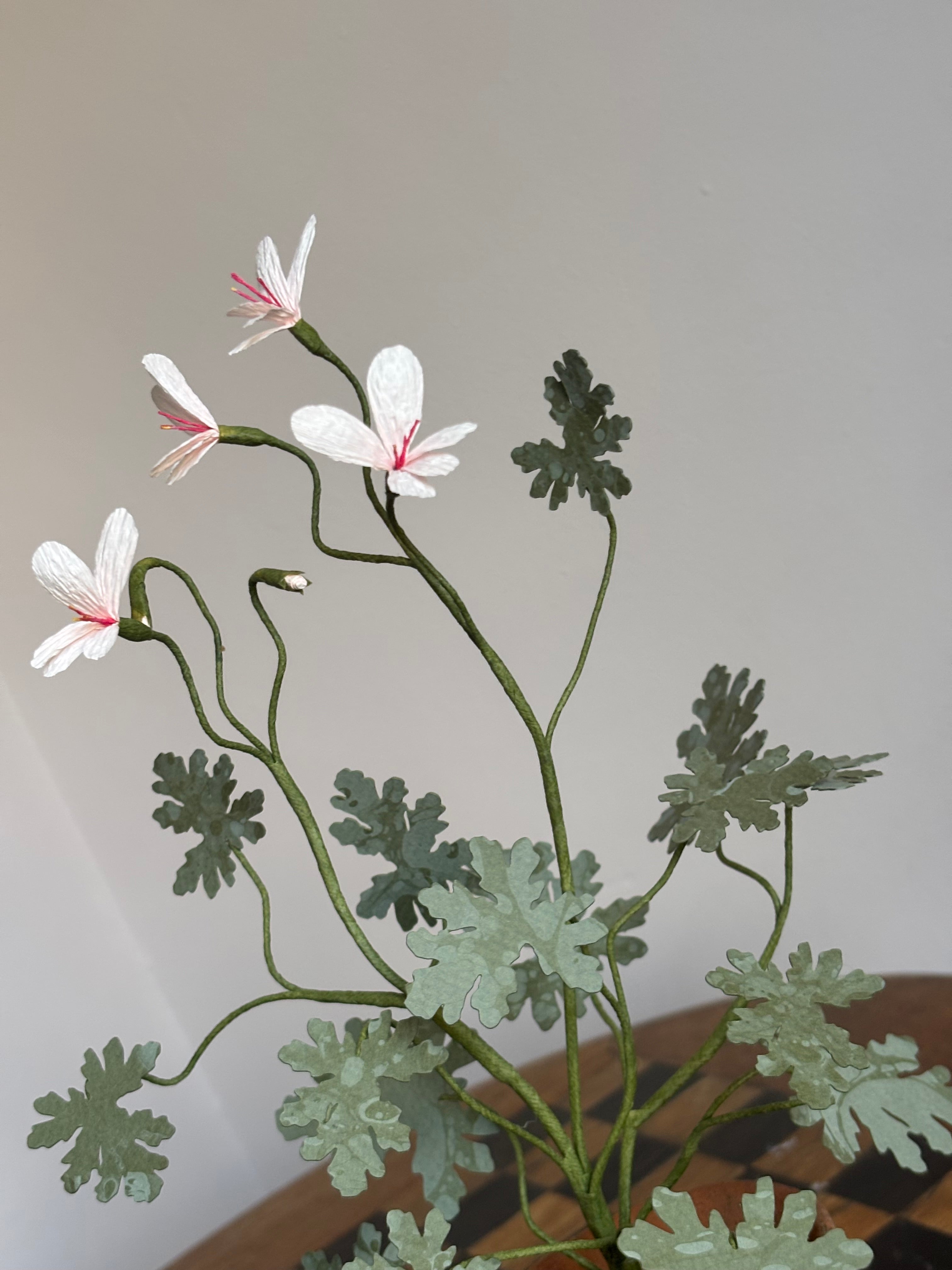 Paper Pelargonium, inspired by Pelargonium radens