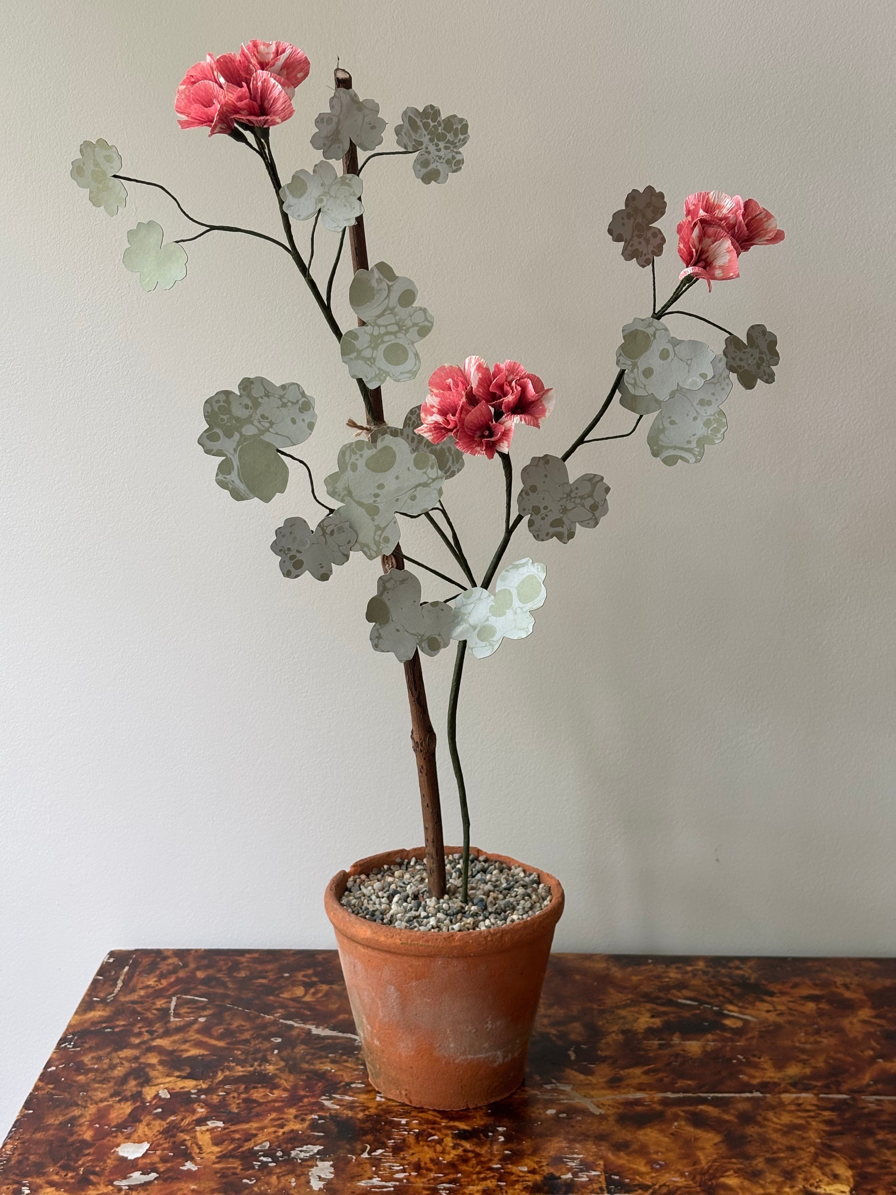 Paper Geranium