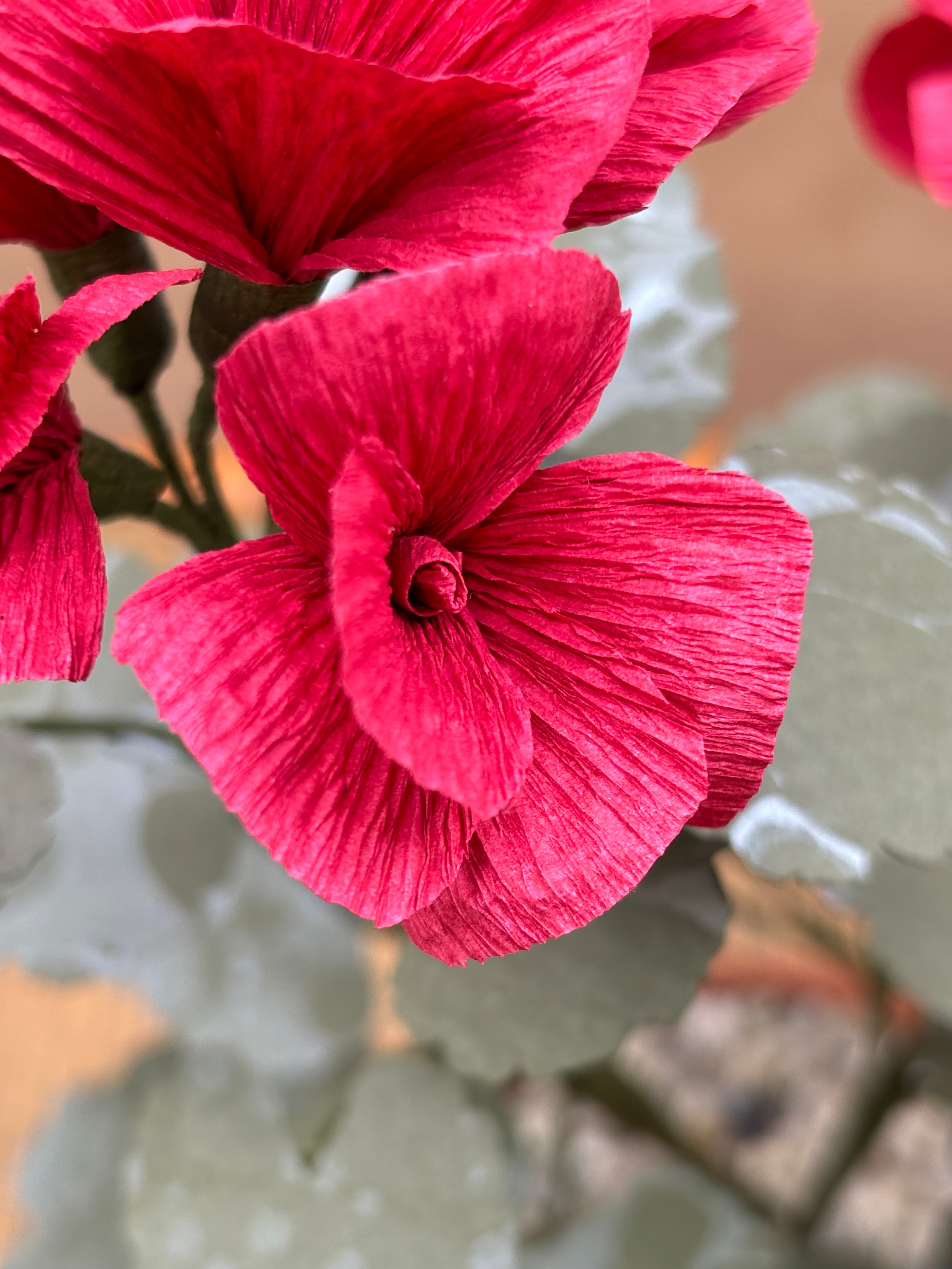 Paper Geranium