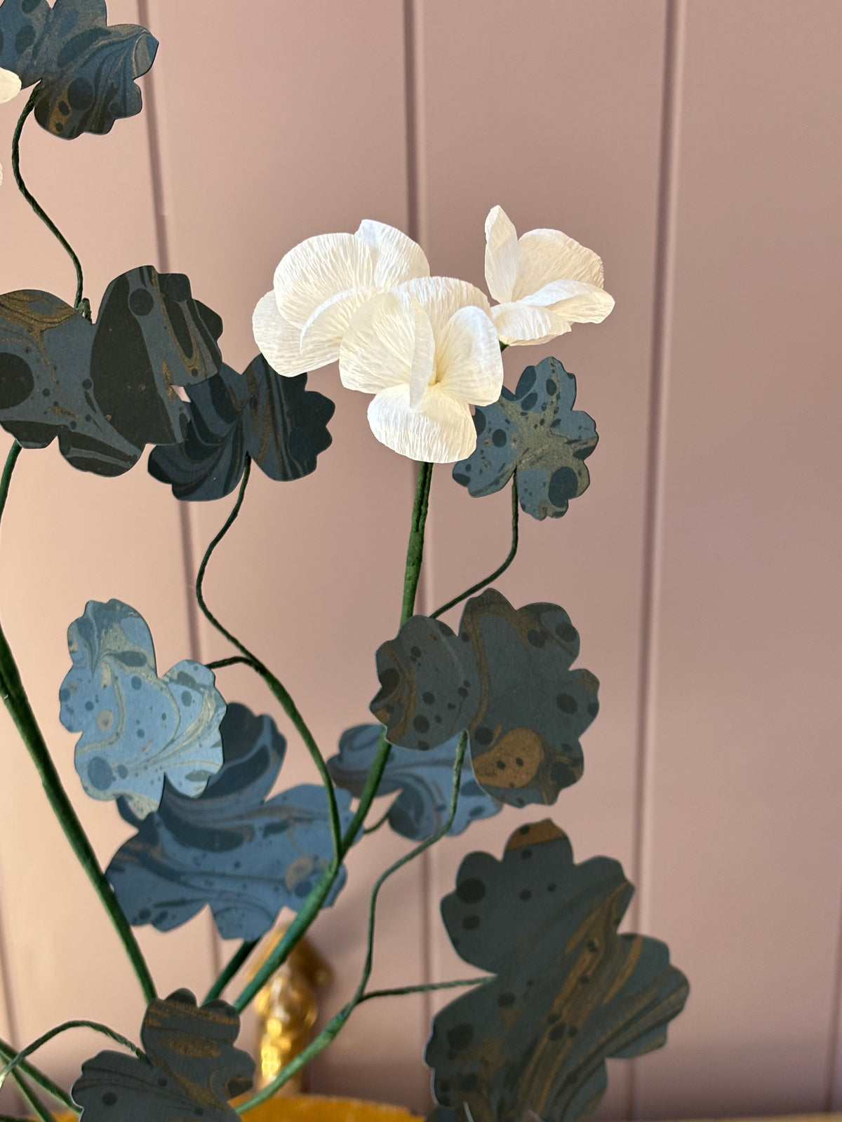 Paper geranium