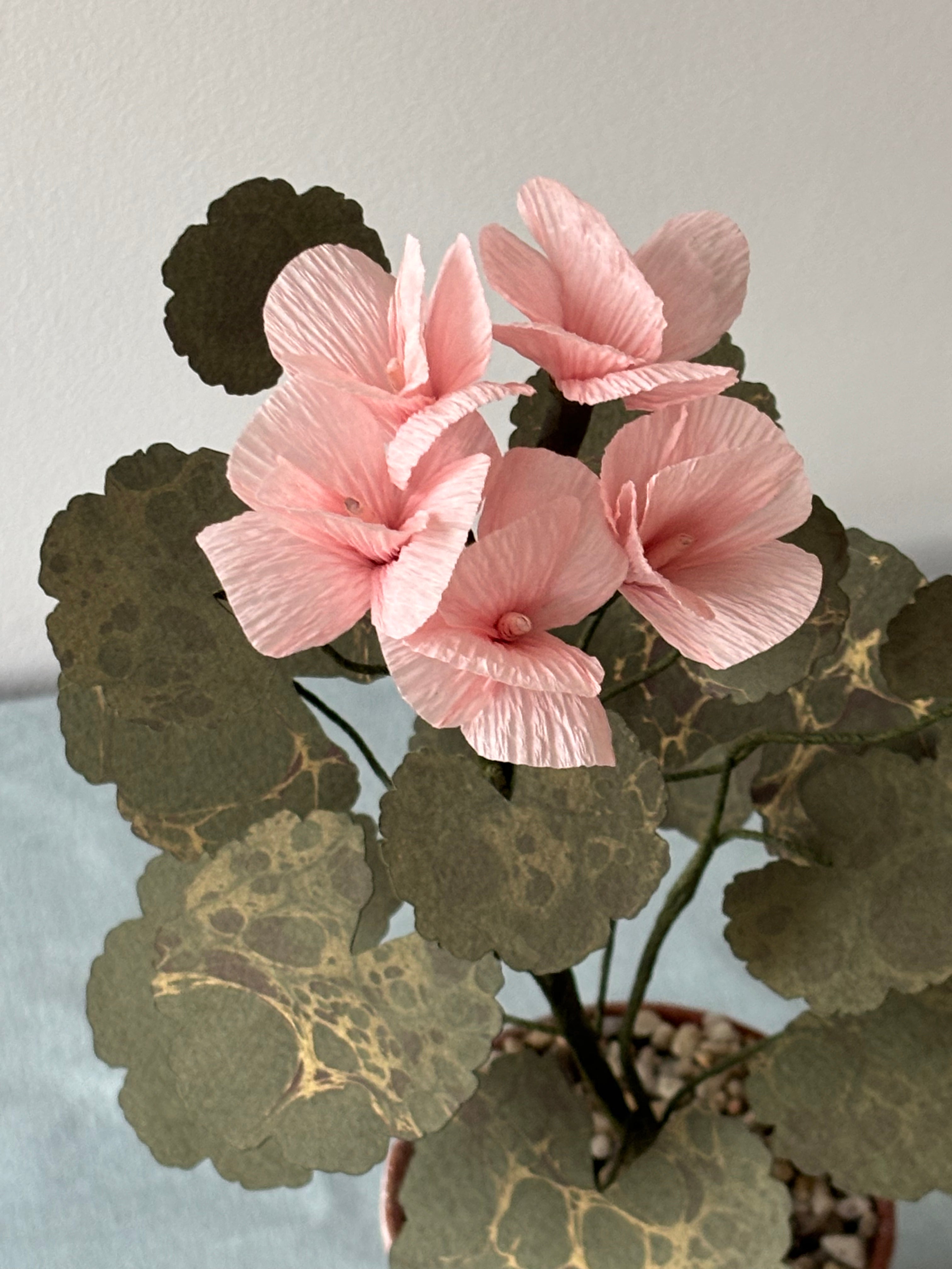 Paper Geranium