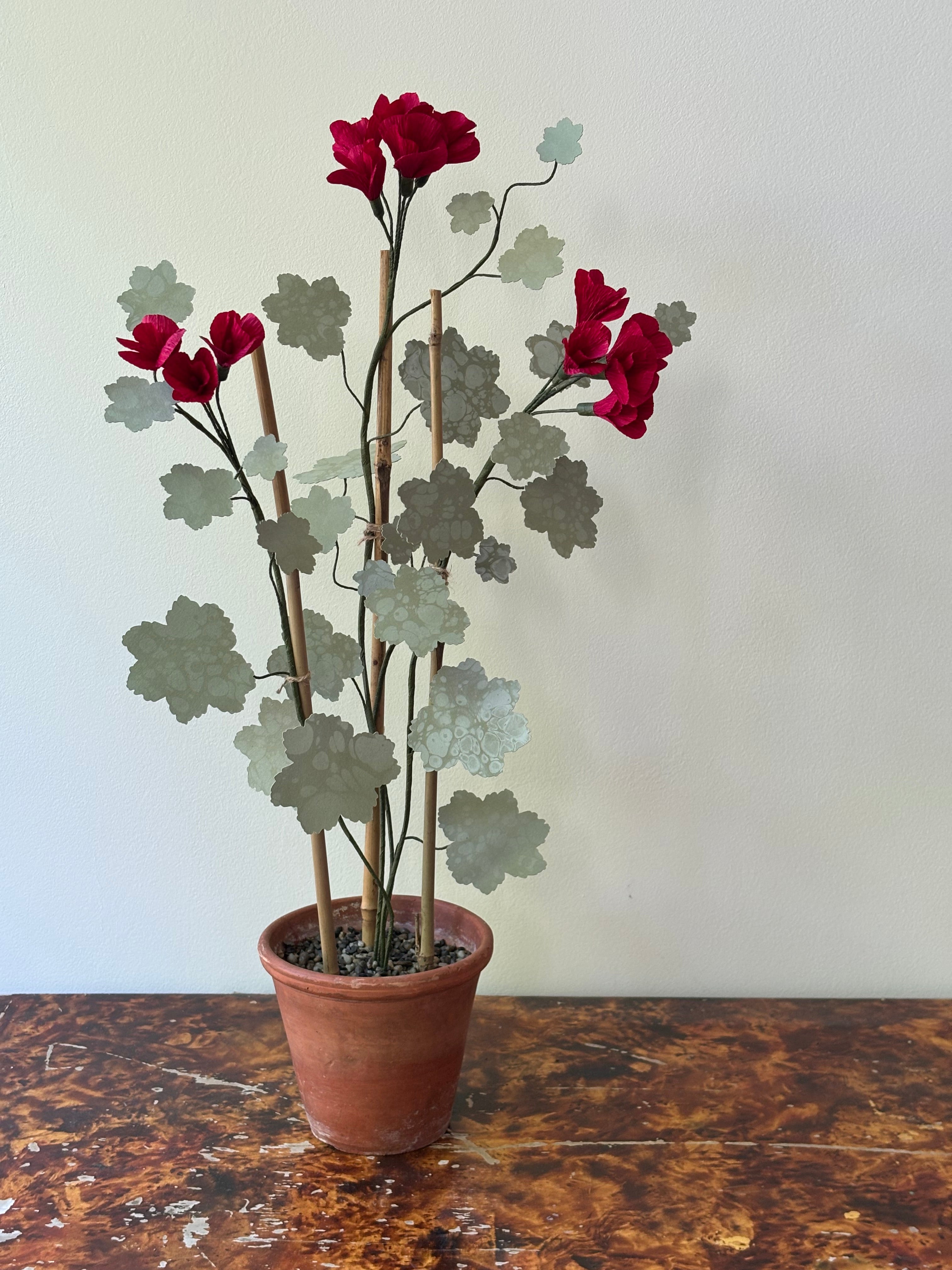 Paper Geranium