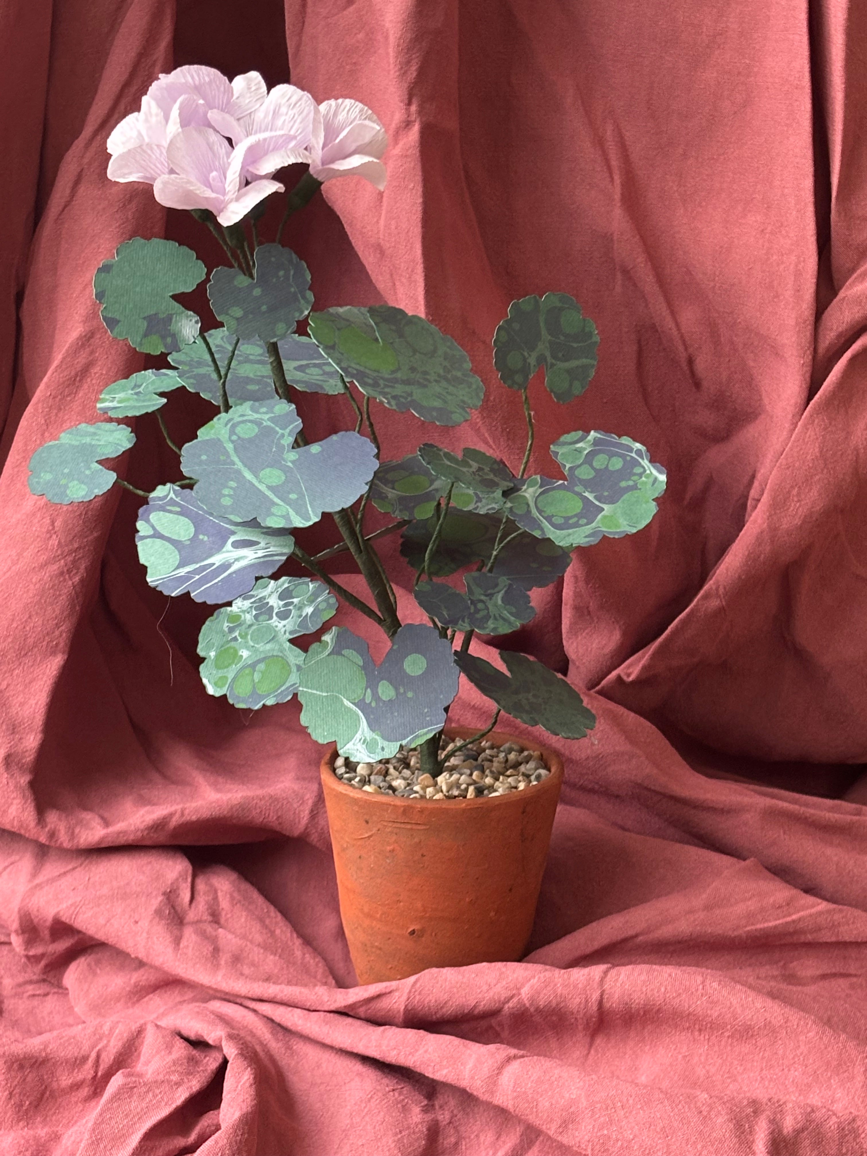 Paper Geranium