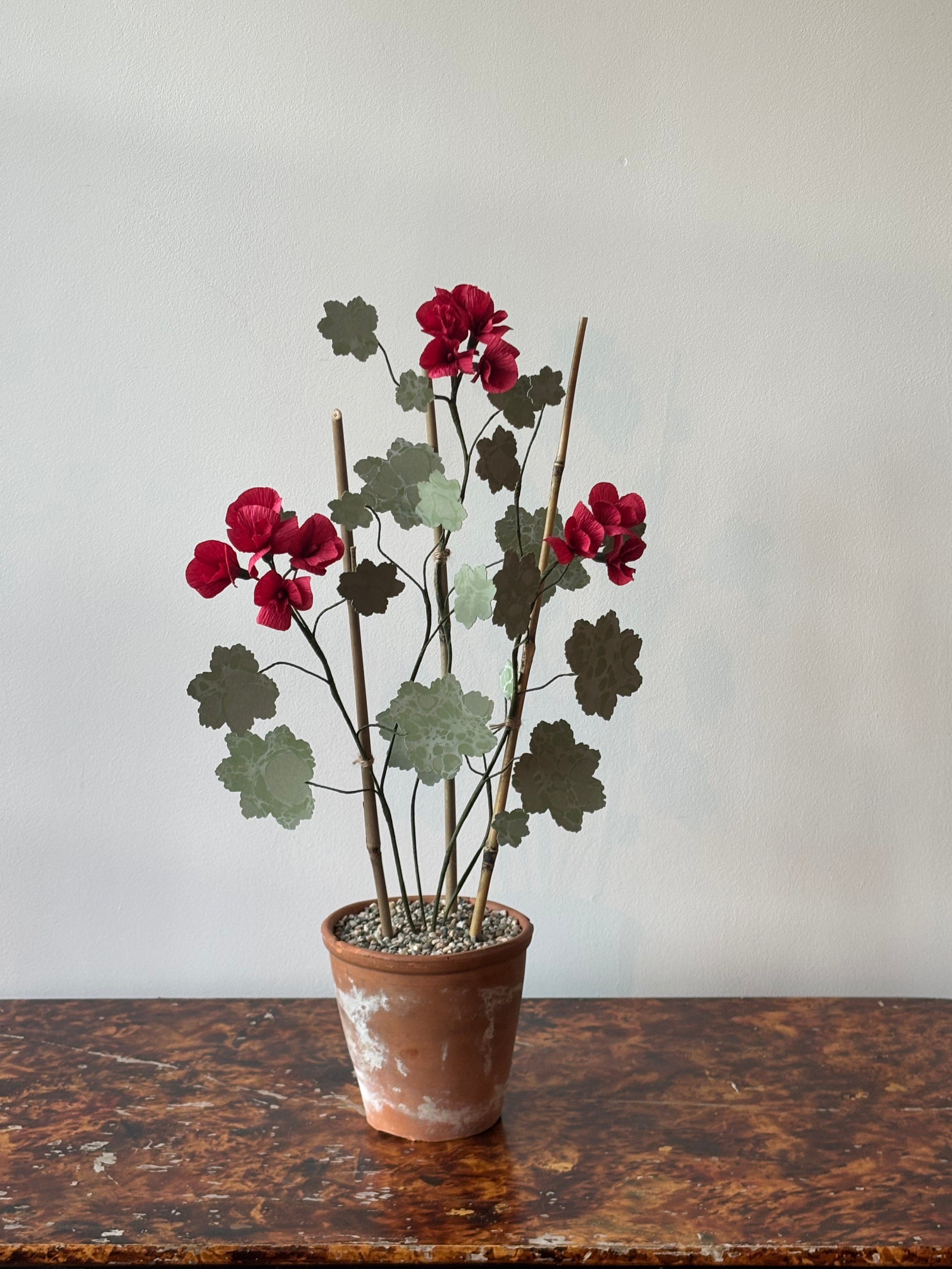 Paper Geranium