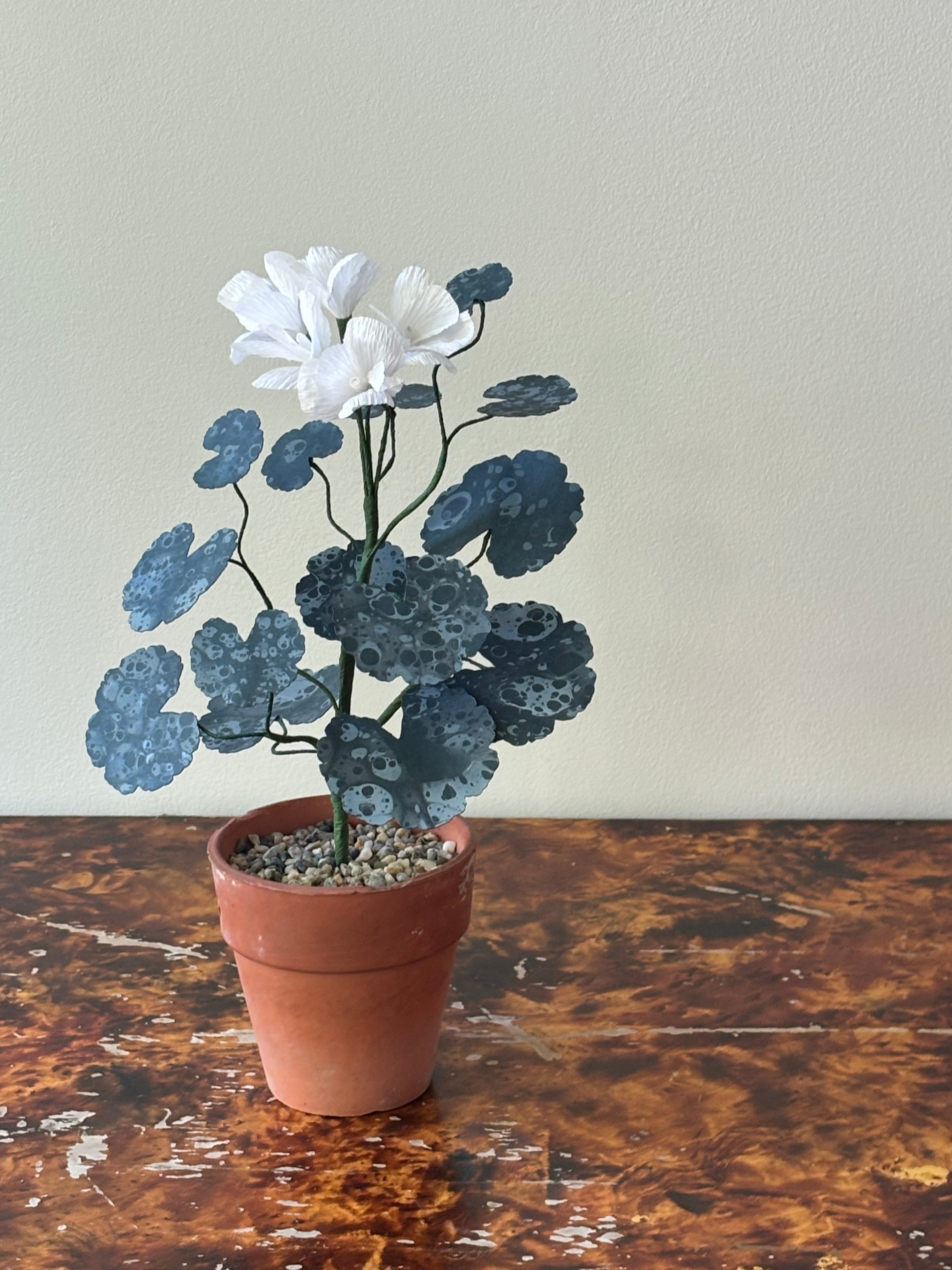 Paper Geranium