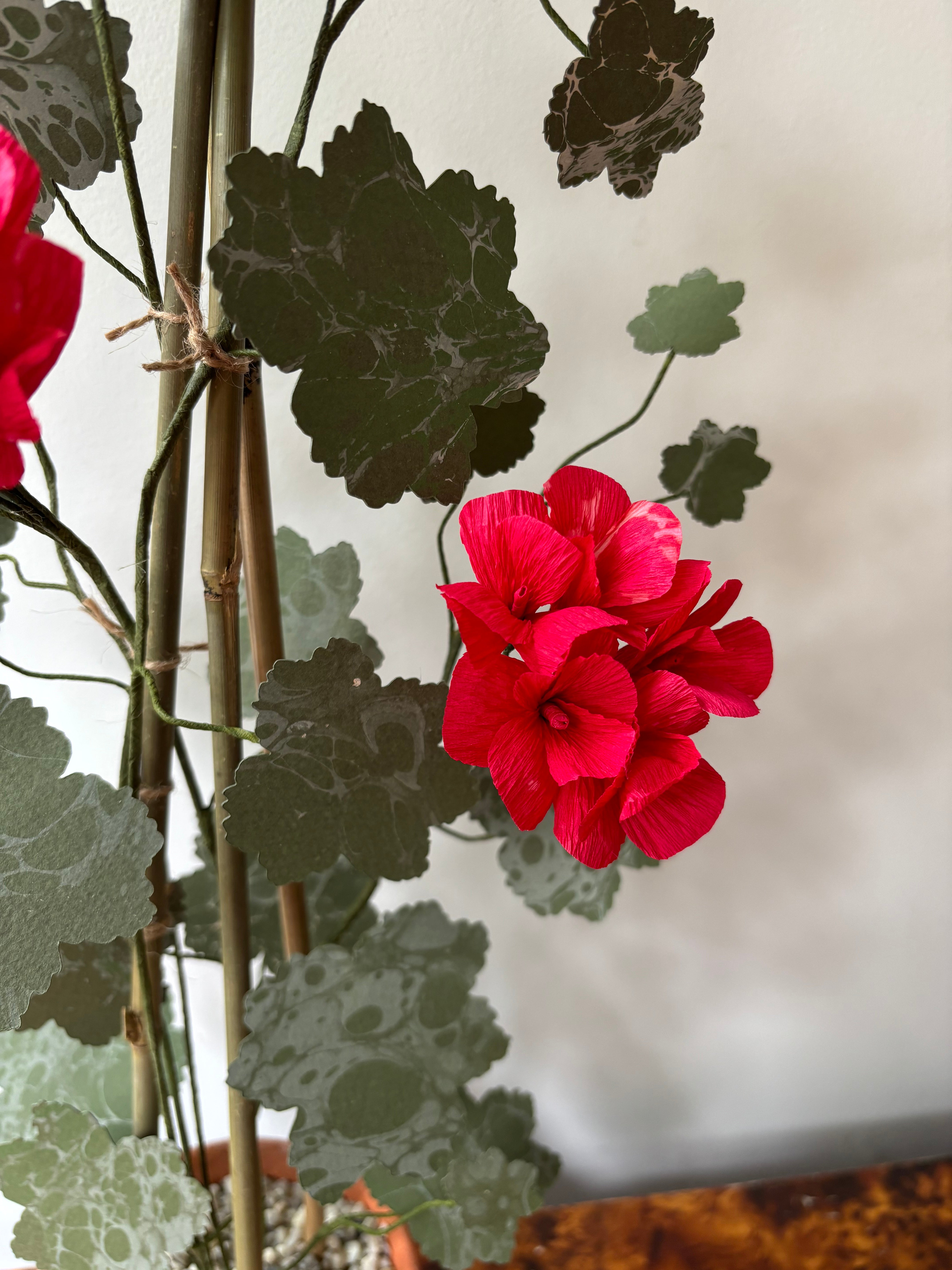 Paper Geranium