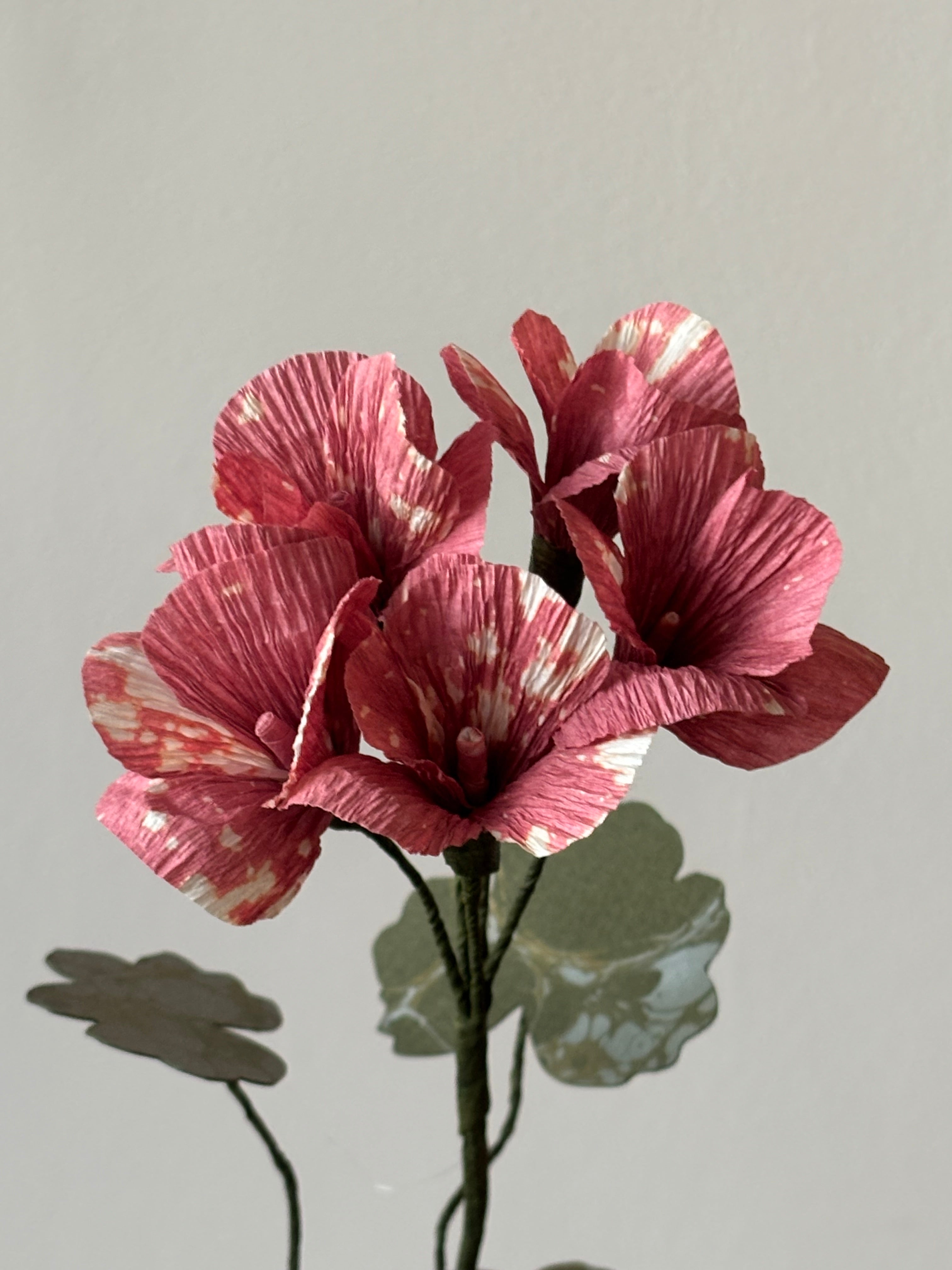 Paper Geranium