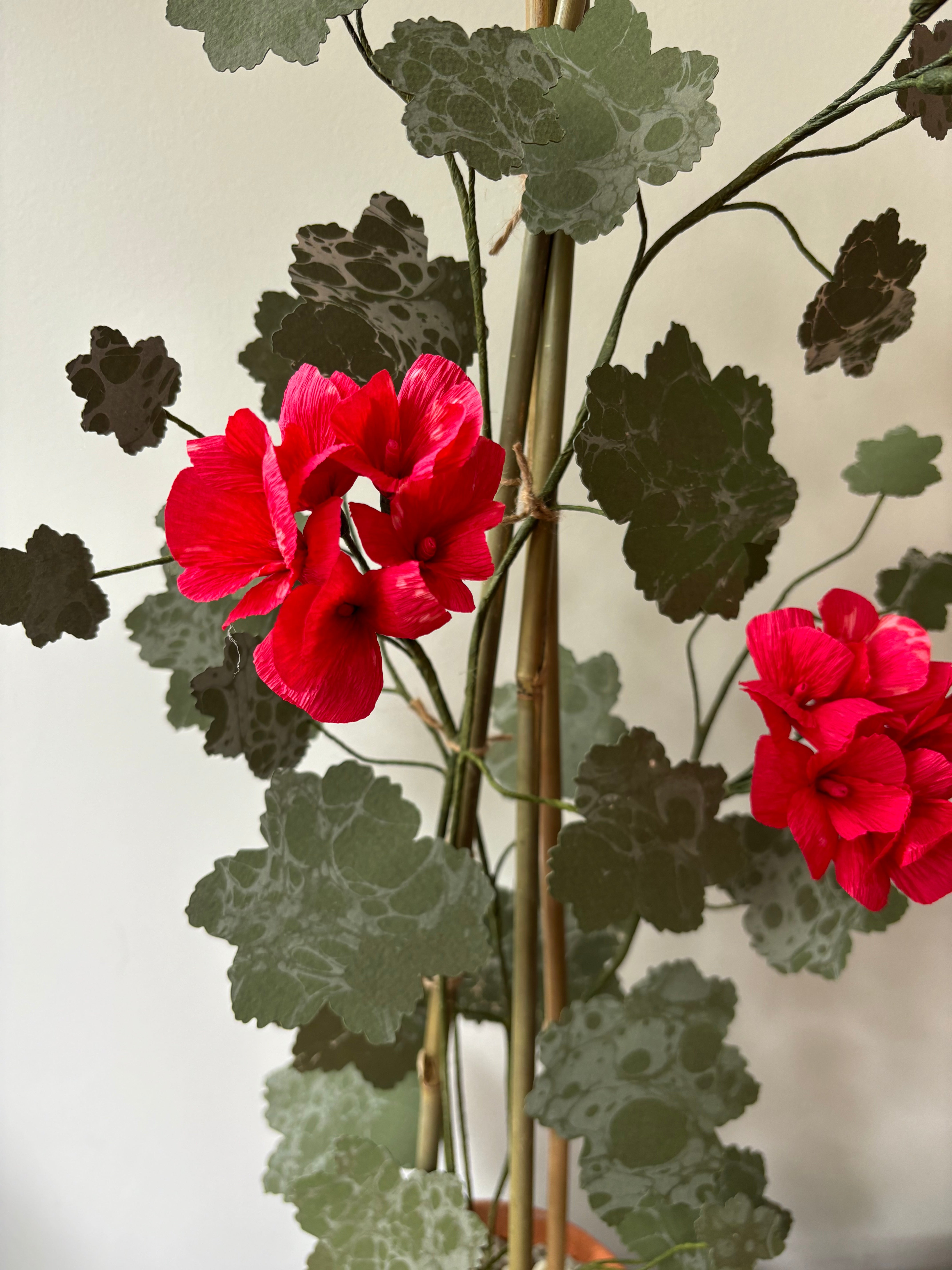 Paper Geranium