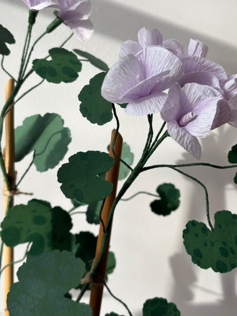 Paper Geranium